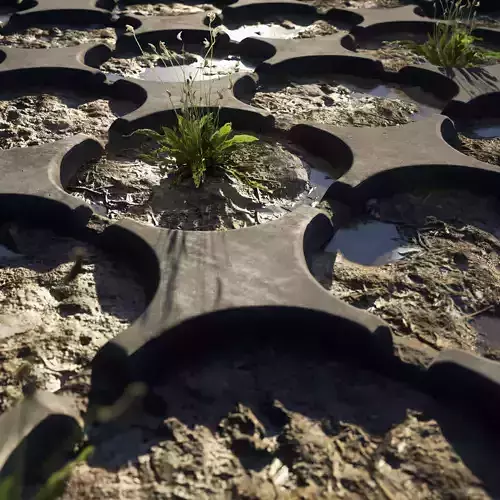 After rain mud ground