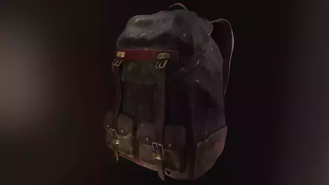 Backpack 3