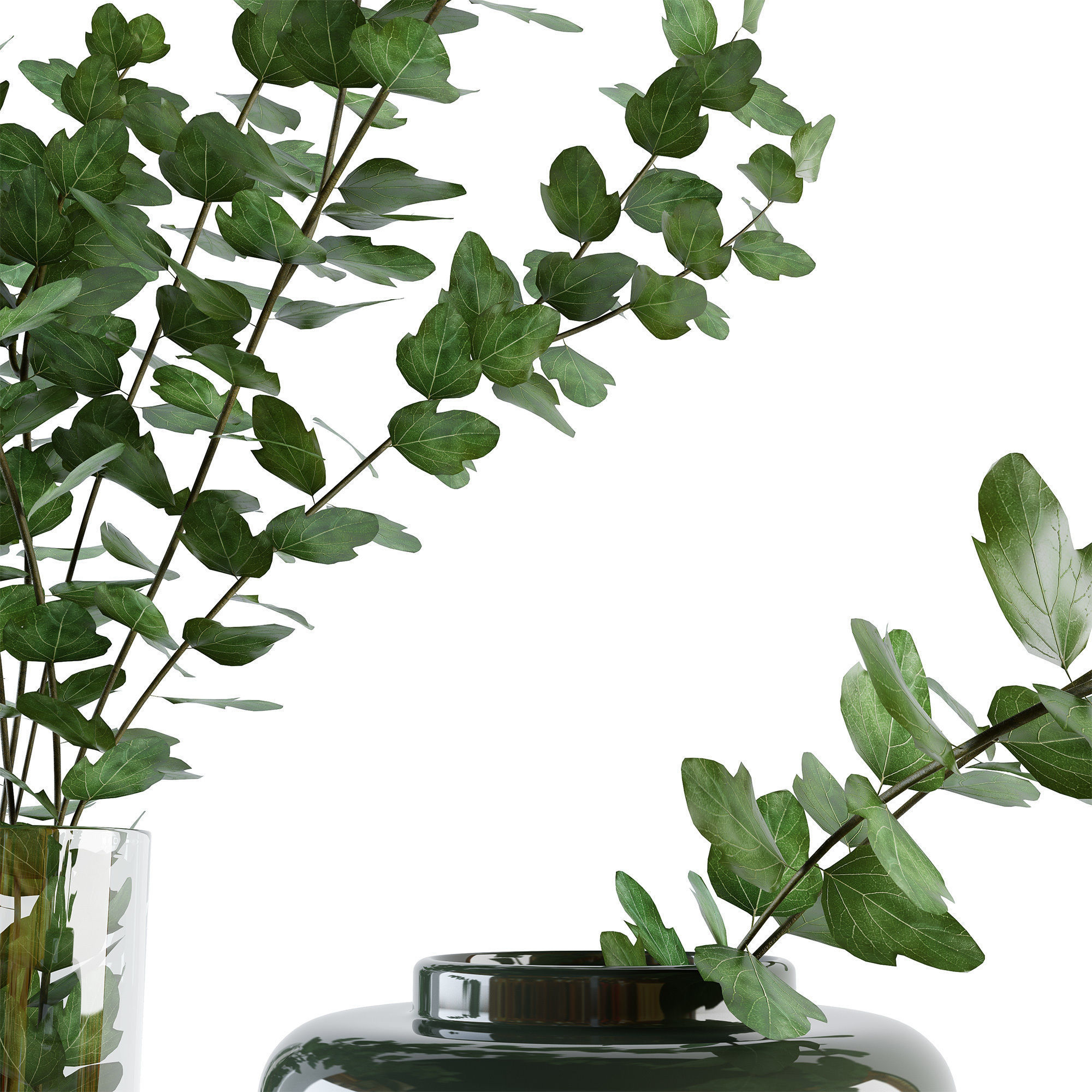 Decorative set with plants 3D model_6