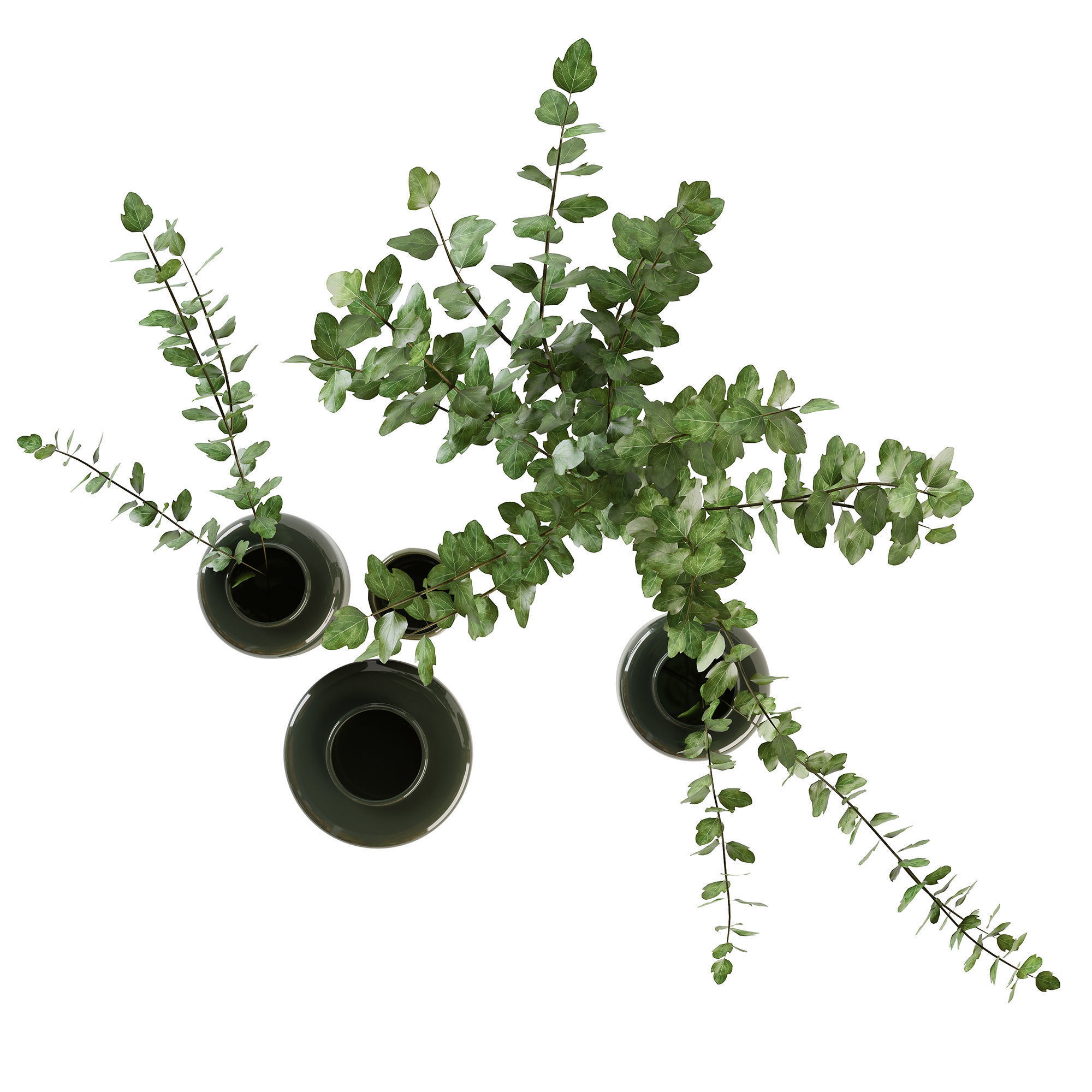 Decorative set with plants 3D model_7