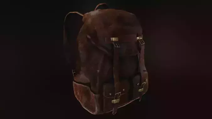 Leather Backpack