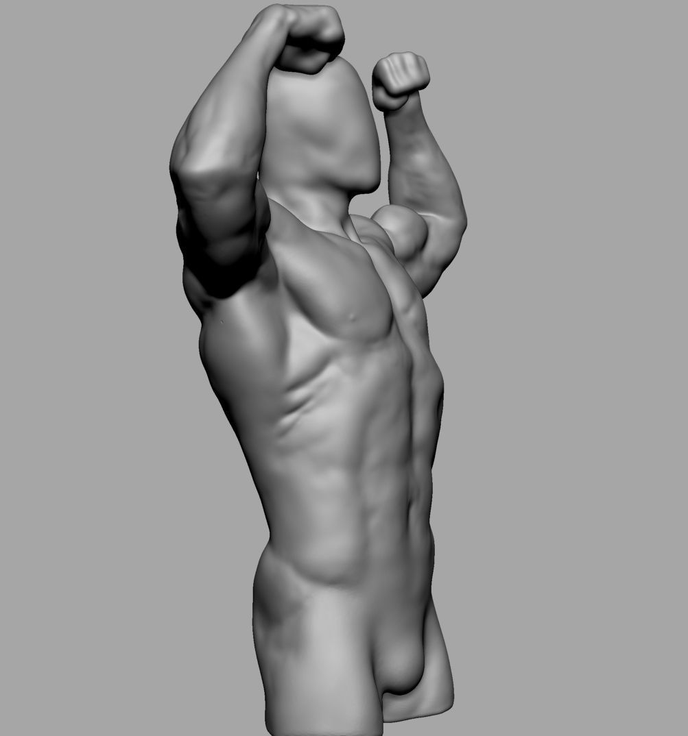 Male Torso v6 3D print model_2