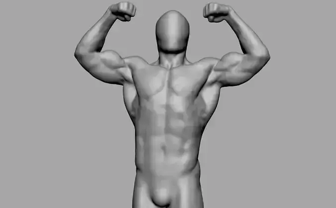 Male Torso v6 3D print model