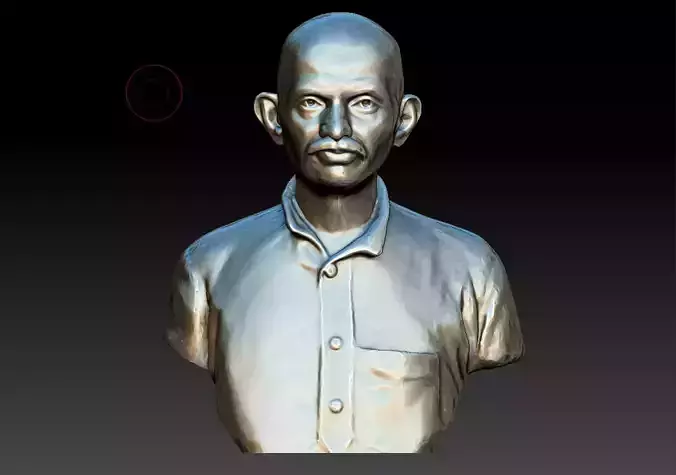 Young Gandhi 3DP 3D print model