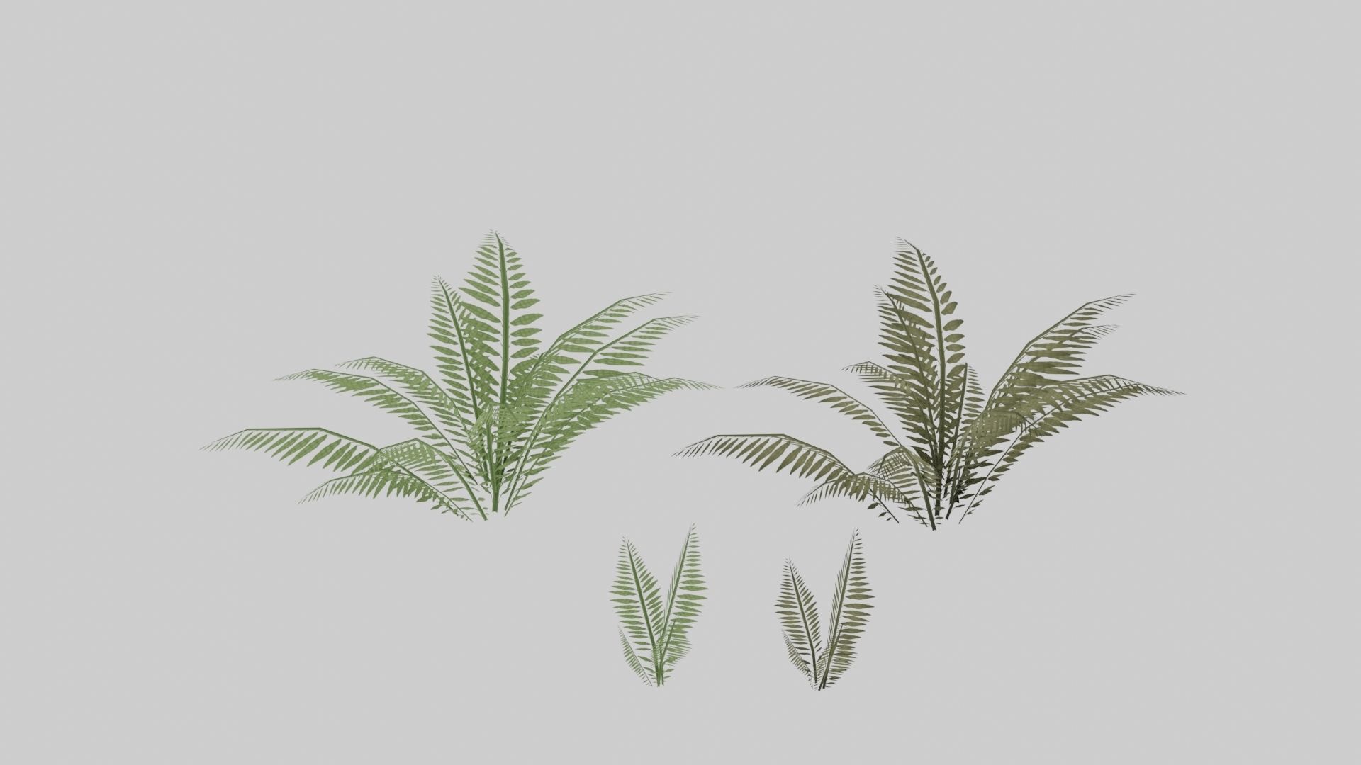 Textured Plant Low-poly 3D model_17