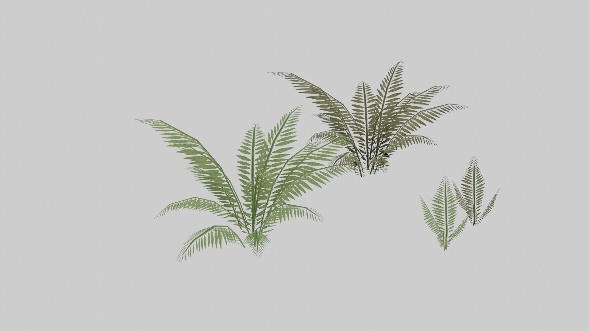 Textured Plant Low-poly 3D model_15