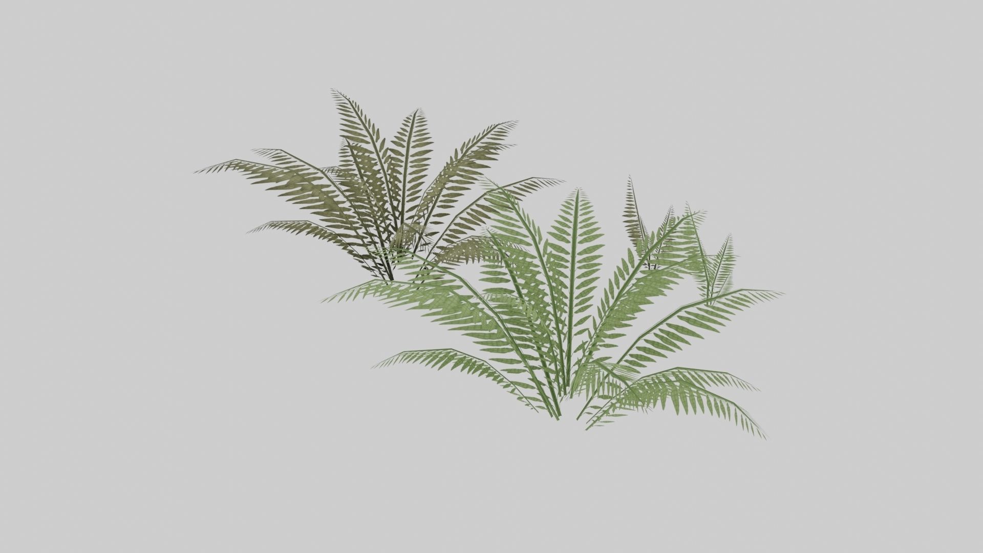 Textured Plant Low-poly 3D model_12