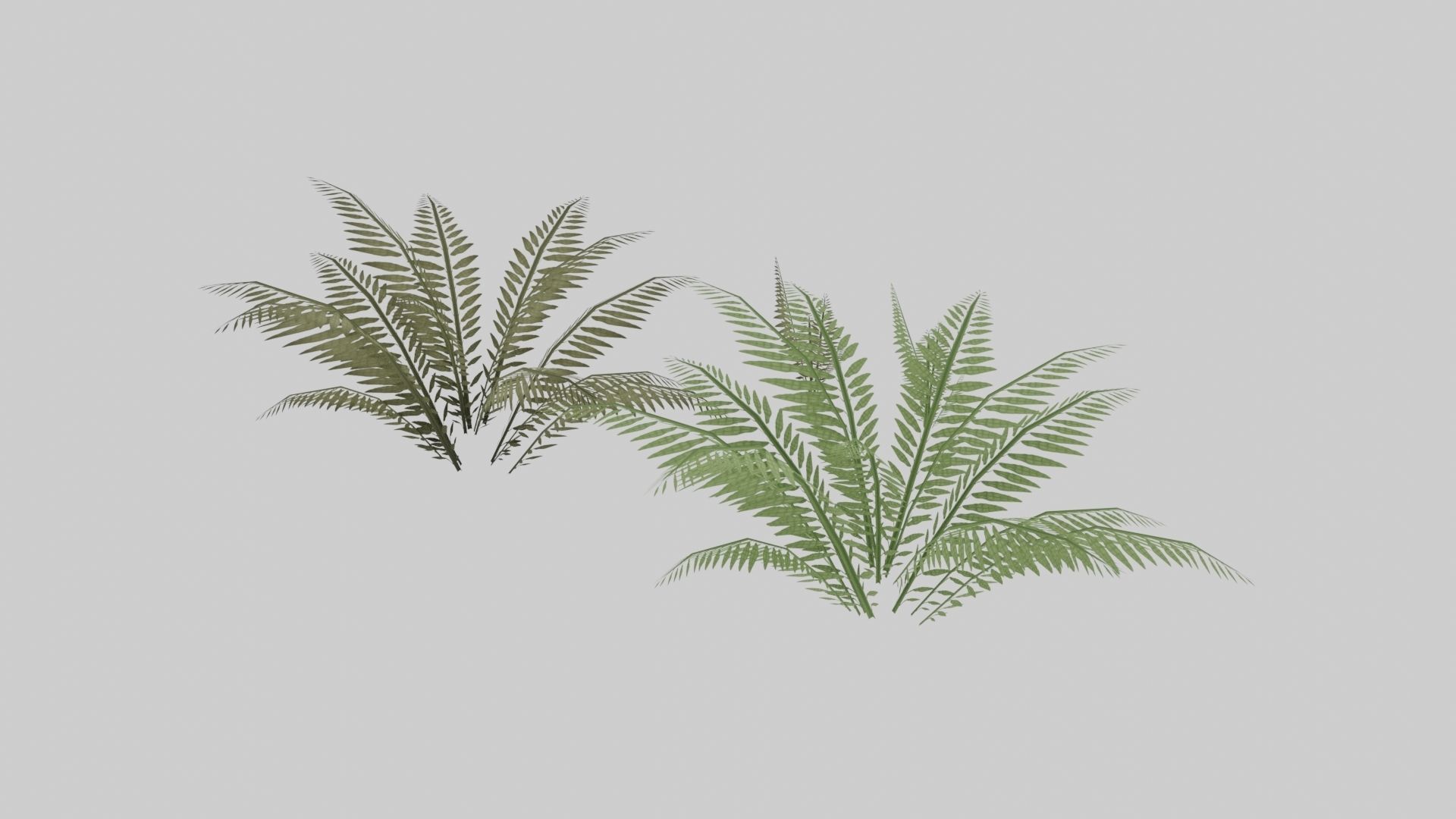 Textured Plant Low-poly 3D model_11