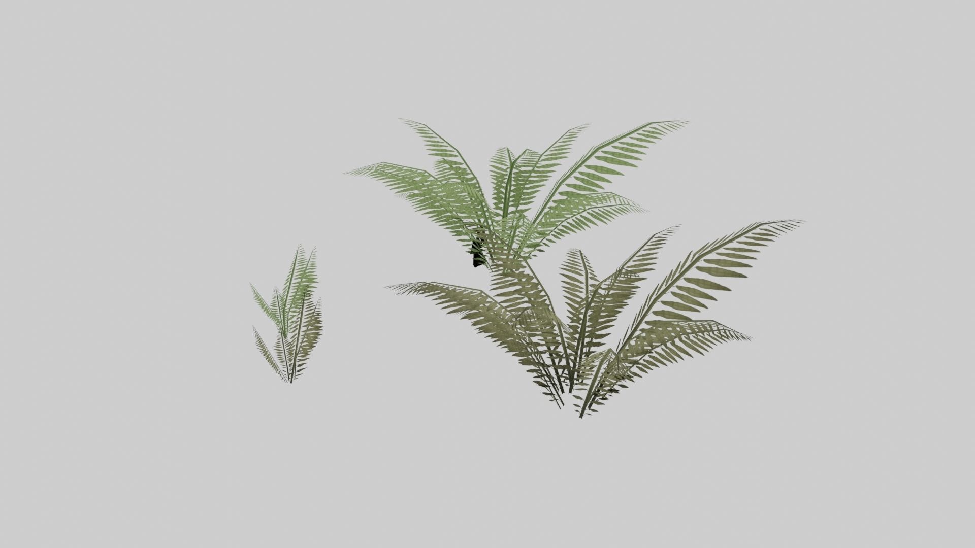 Textured Plant Low-poly 3D model_4