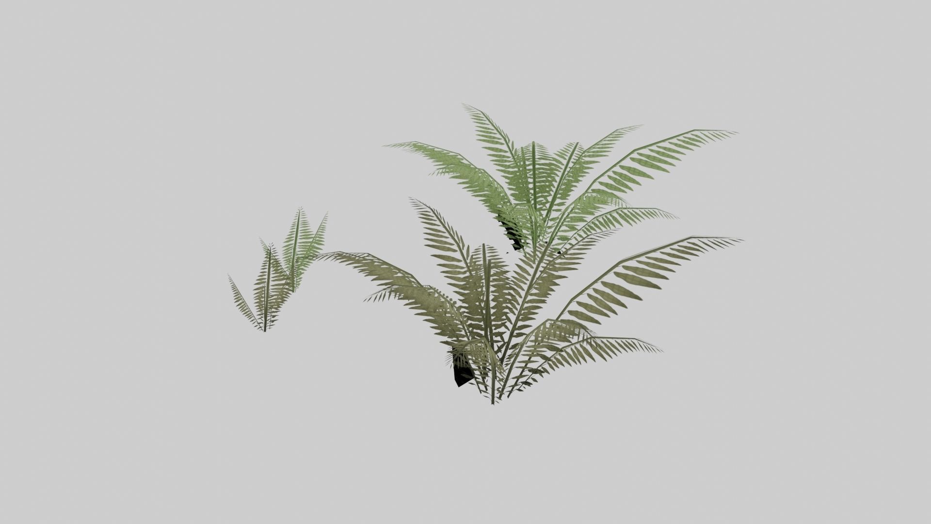 Textured Plant Low-poly 3D model_5