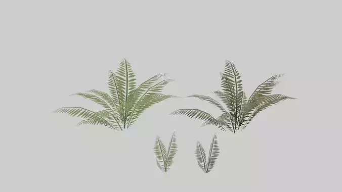 Textured Plant Low-poly 3D model