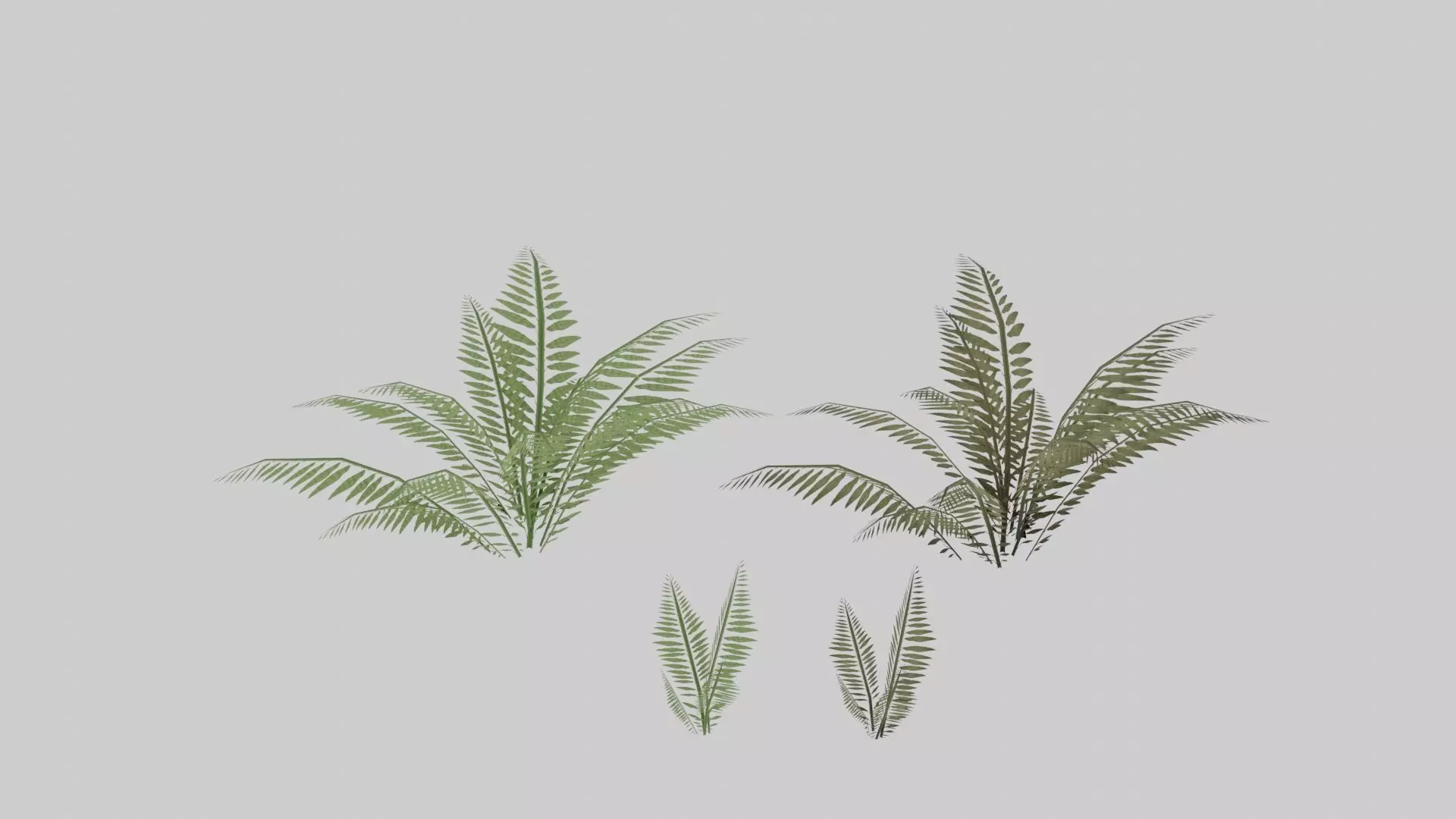 Textured Plant Low-poly 3D model_0