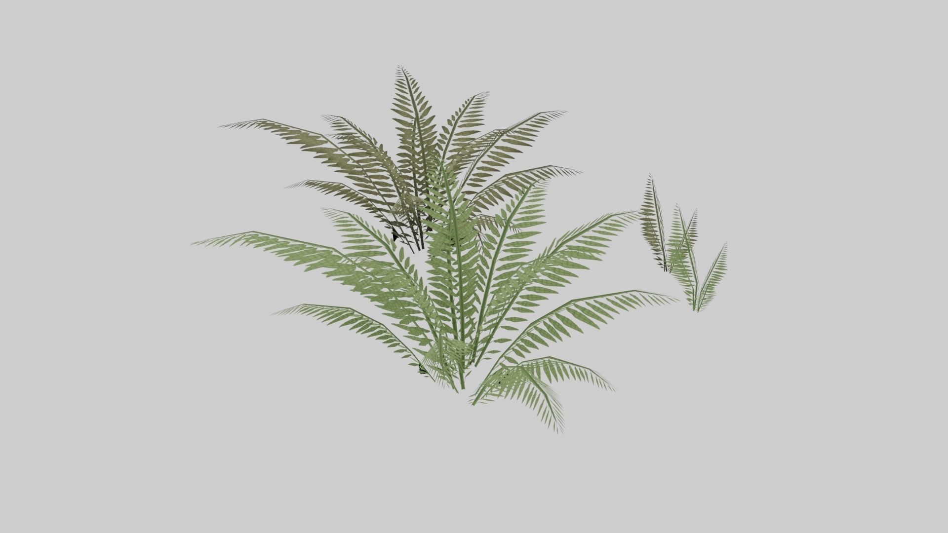 Textured Plant Low-poly 3D model_13