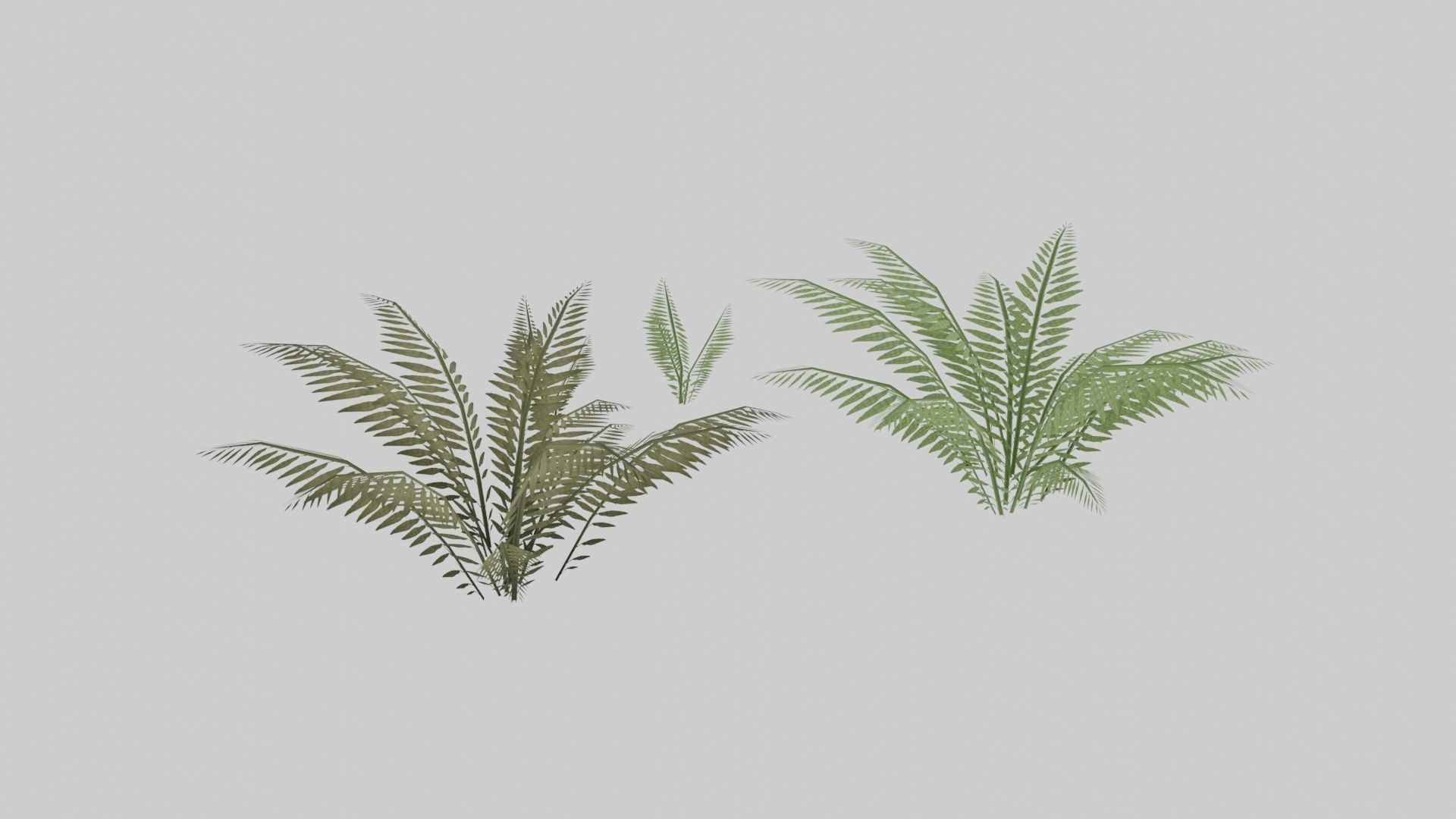 Textured Plant Low-poly 3D model_8