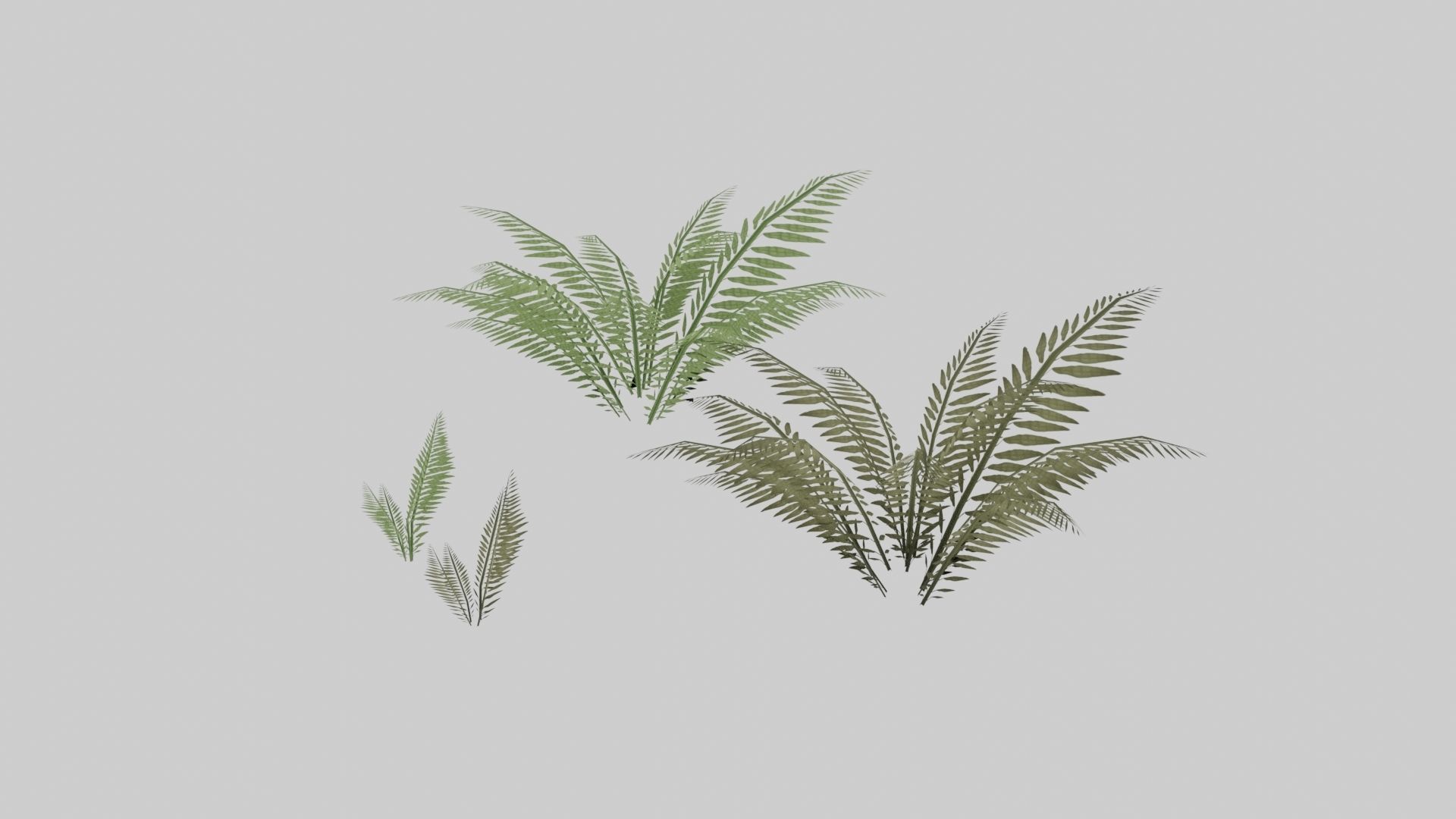 Textured Plant Low-poly 3D model_3