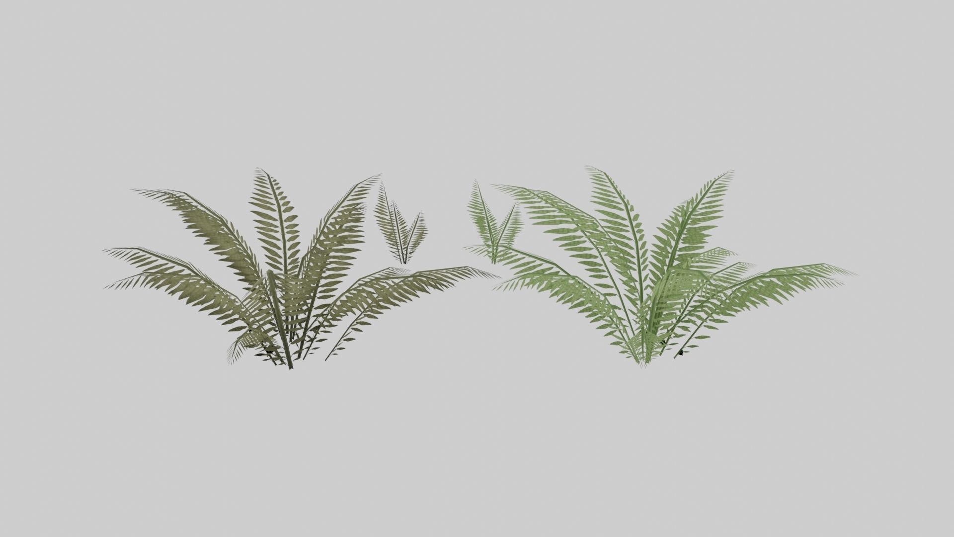 Textured Plant Low-poly 3D model_9