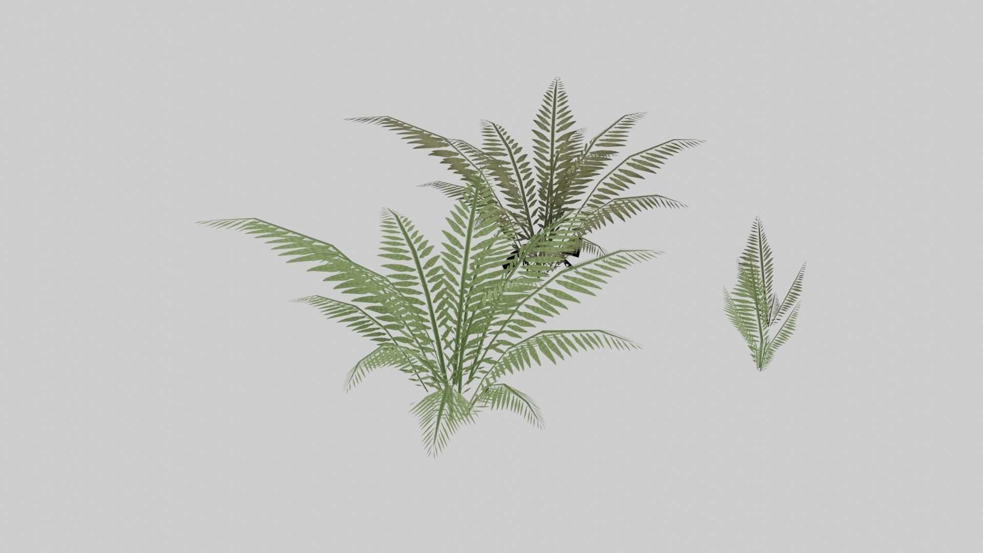 Textured Plant Low-poly 3D model_14