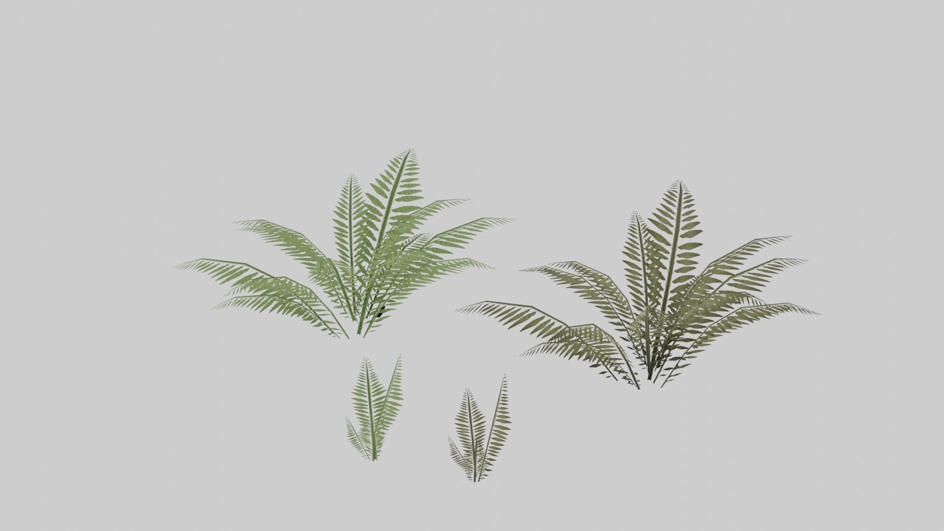 Textured Plant Low-poly 3D model_1