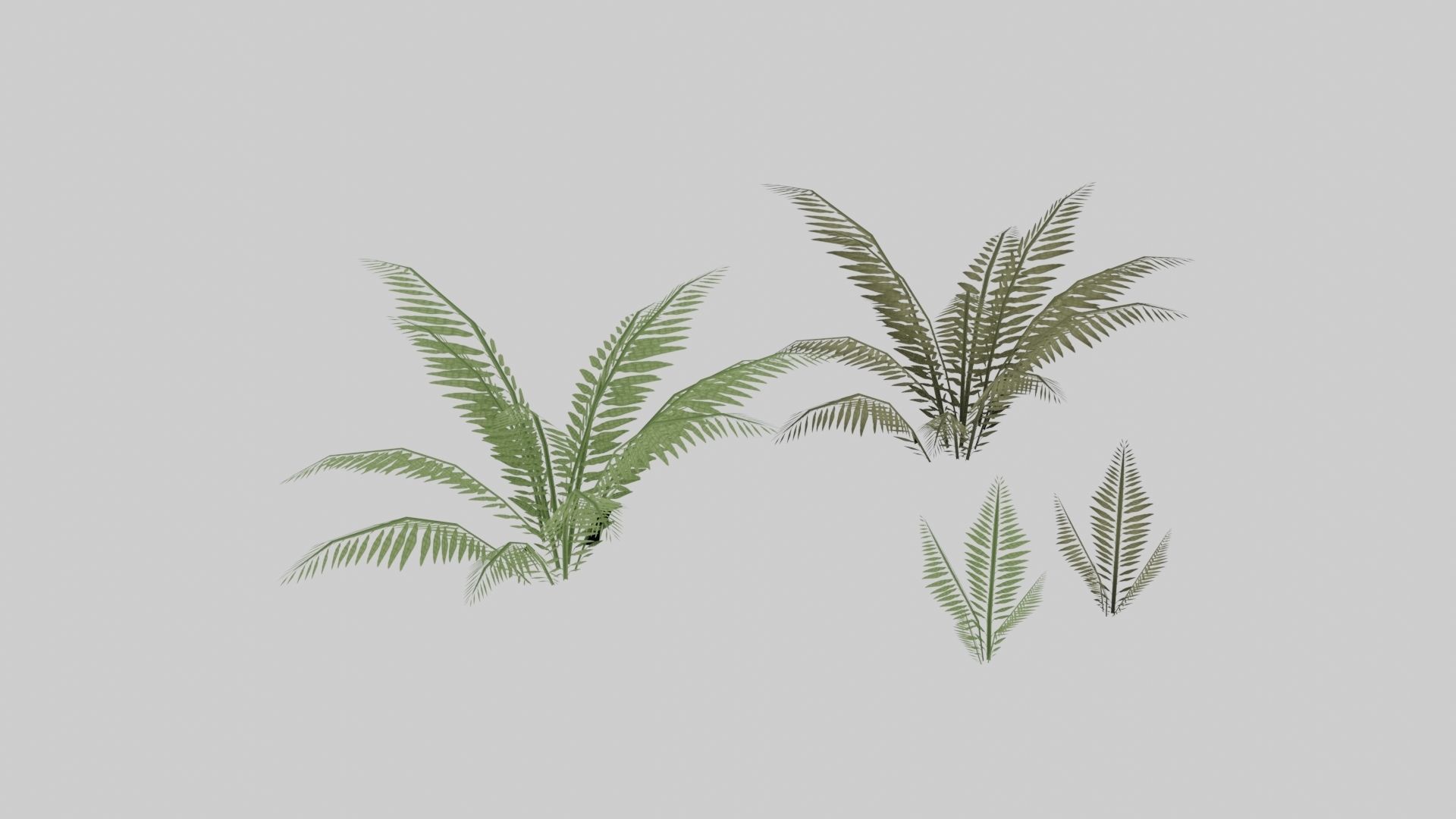 Textured Plant Low-poly 3D model_16