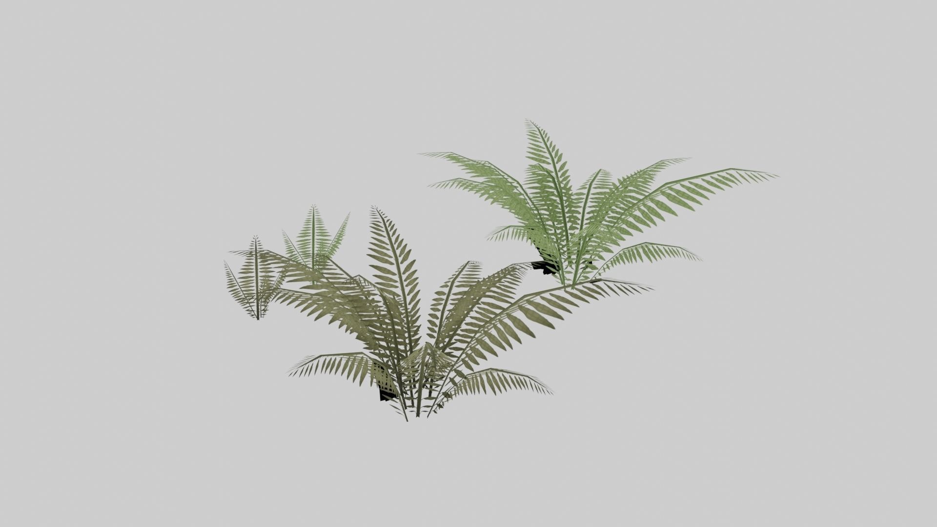 Textured Plant Low-poly 3D model_6