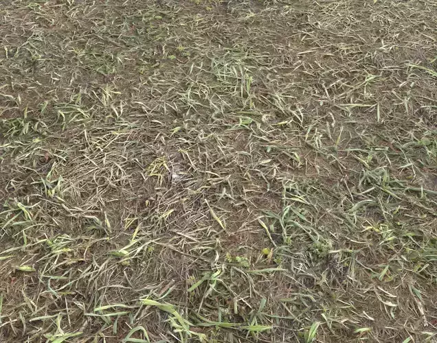 Forest Terrain Pack 15