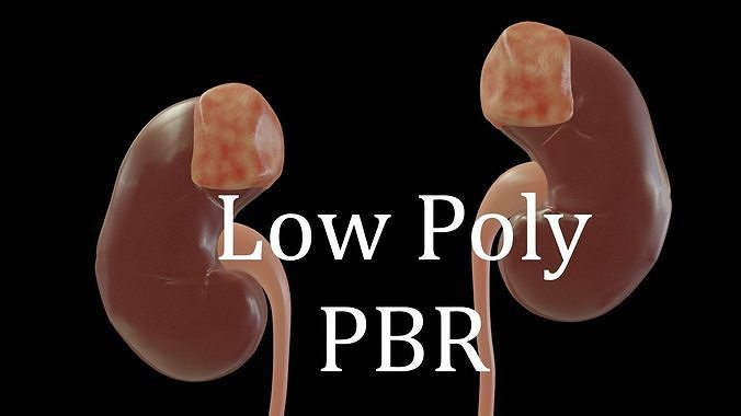 Urinary System Low-poly 3D model