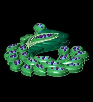 swan pendant  3D print model_15