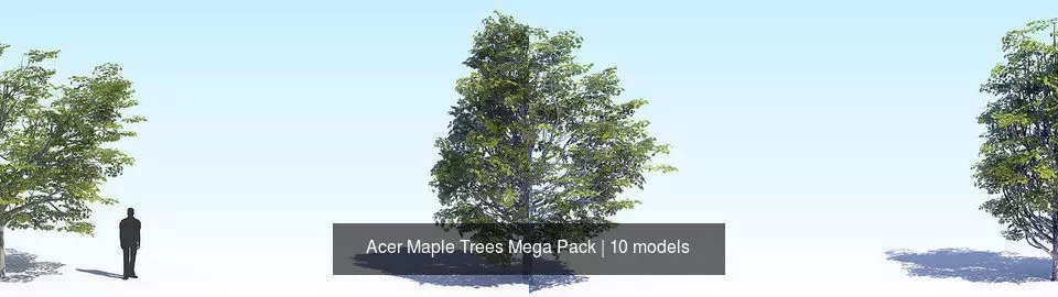 Acer Maple Trees Mega Pack 3D Model Collection_1