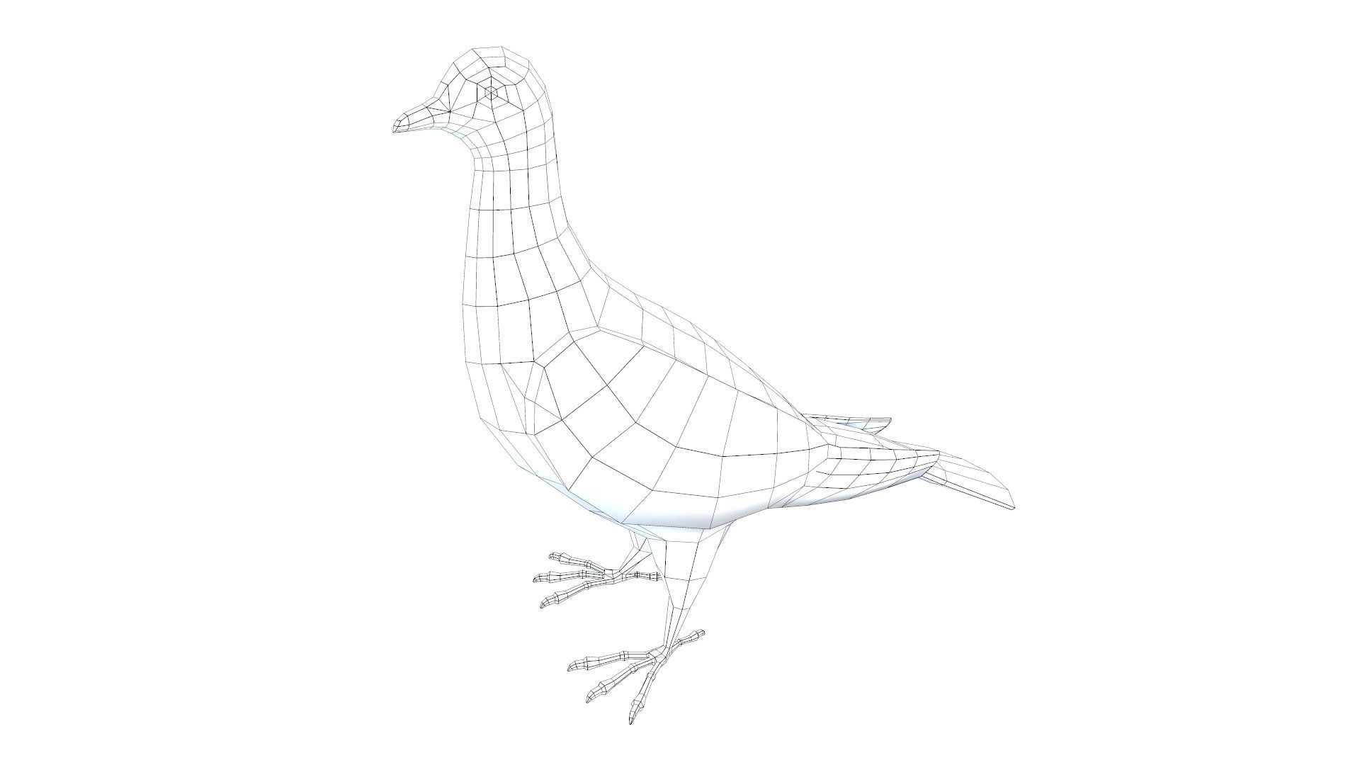 Pigeons Dove Low-poly 3D model_8