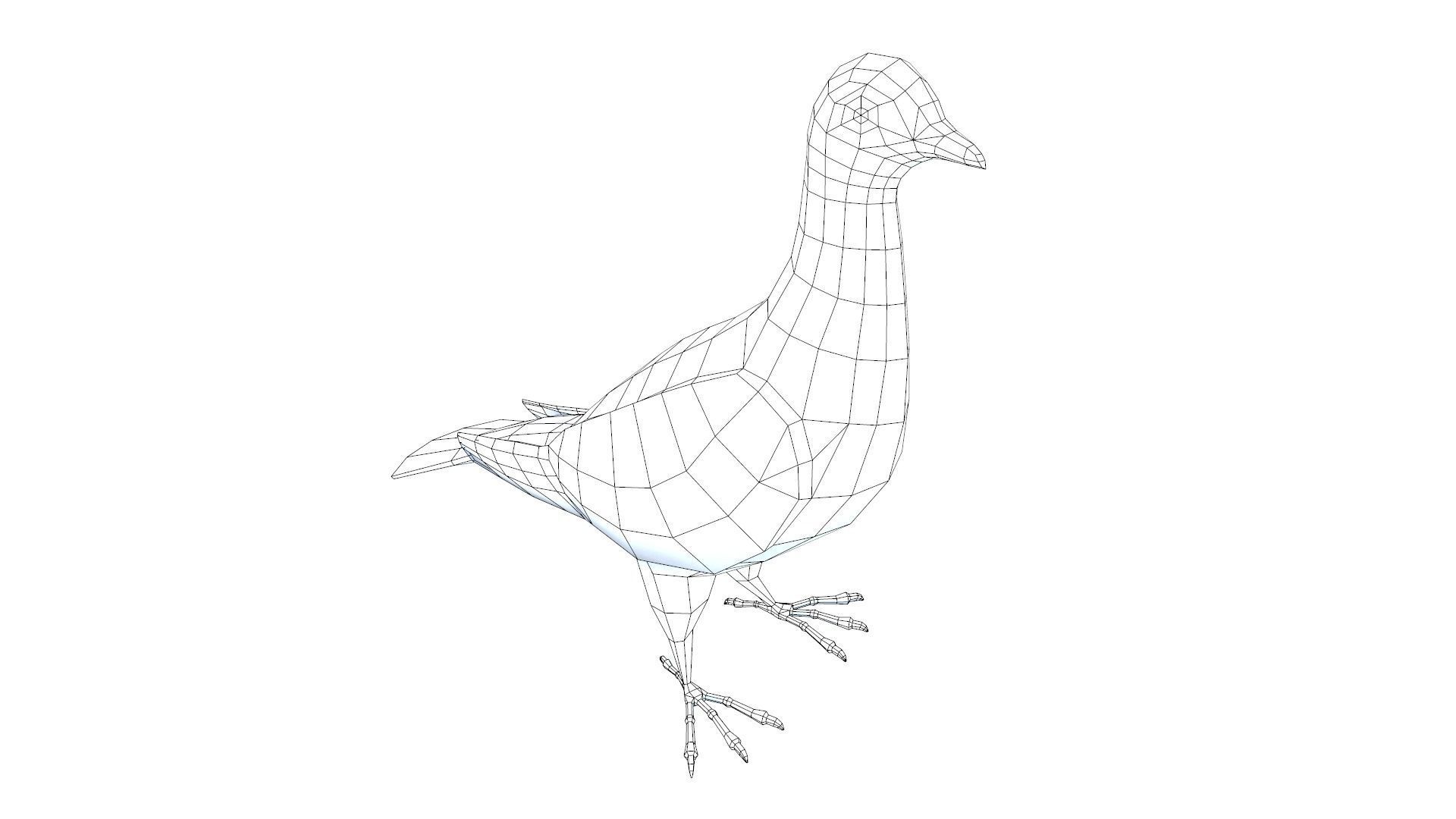Pigeons Dove Low-poly 3D model_7