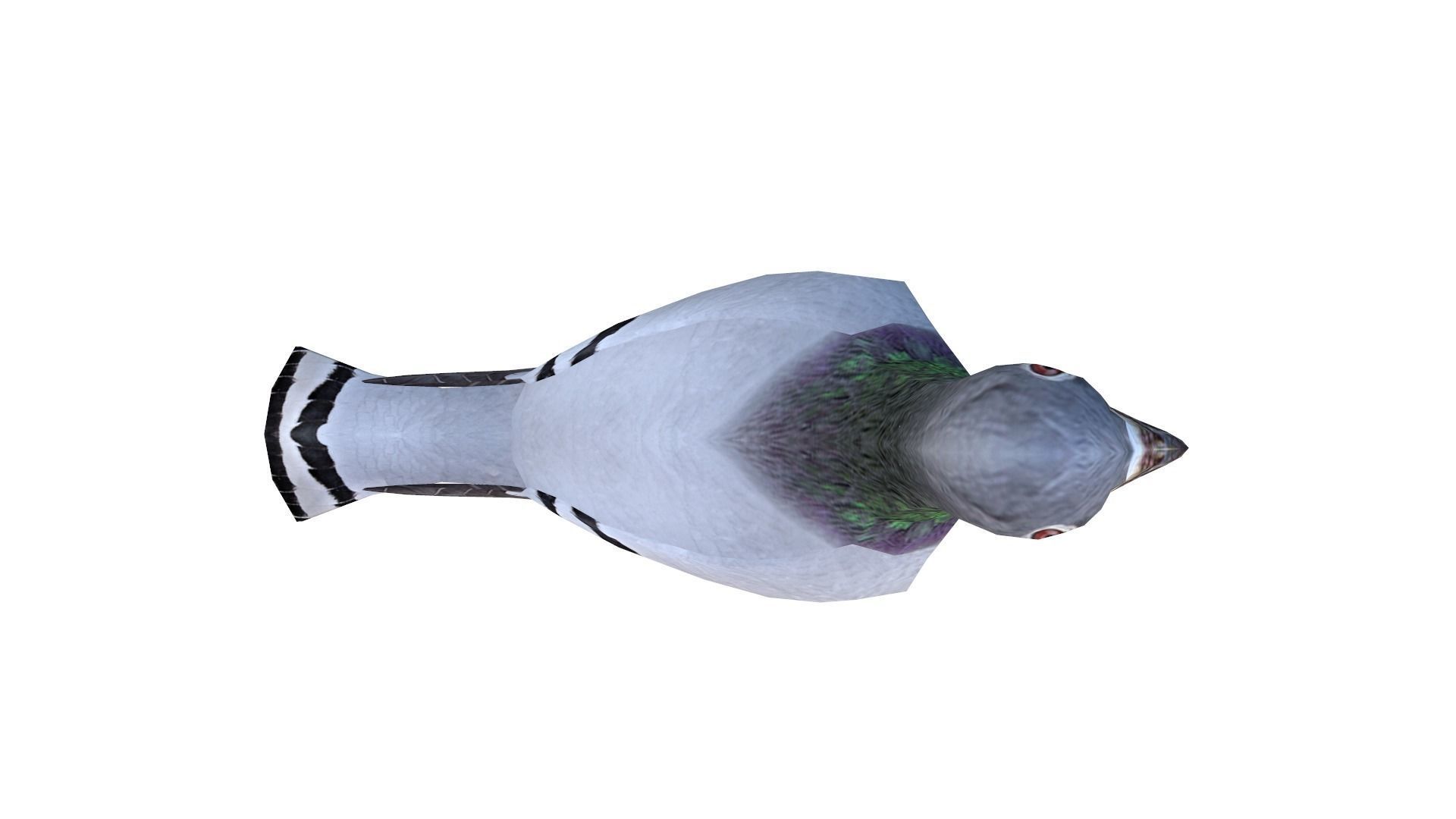 Pigeons Dove Low-poly 3D model_5