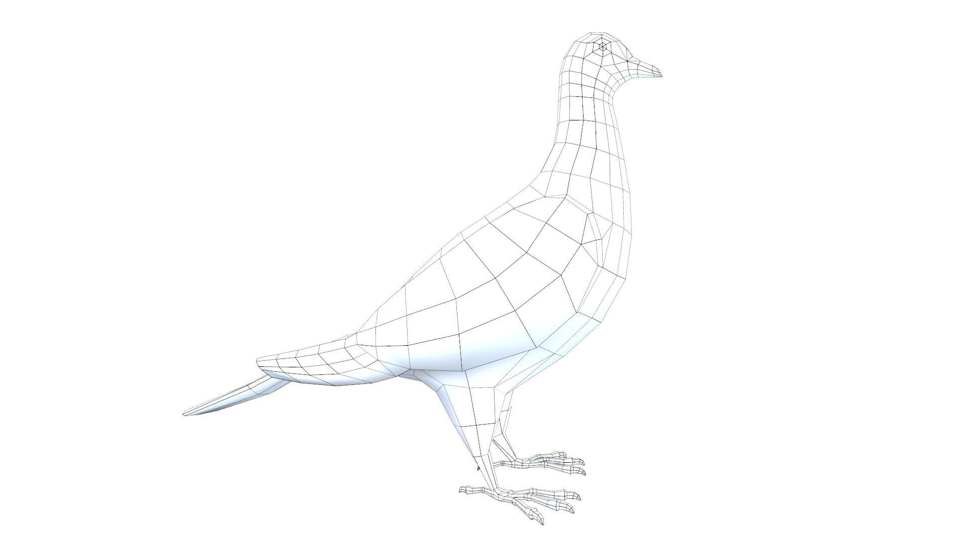 Pigeons Dove Low-poly 3D model_9