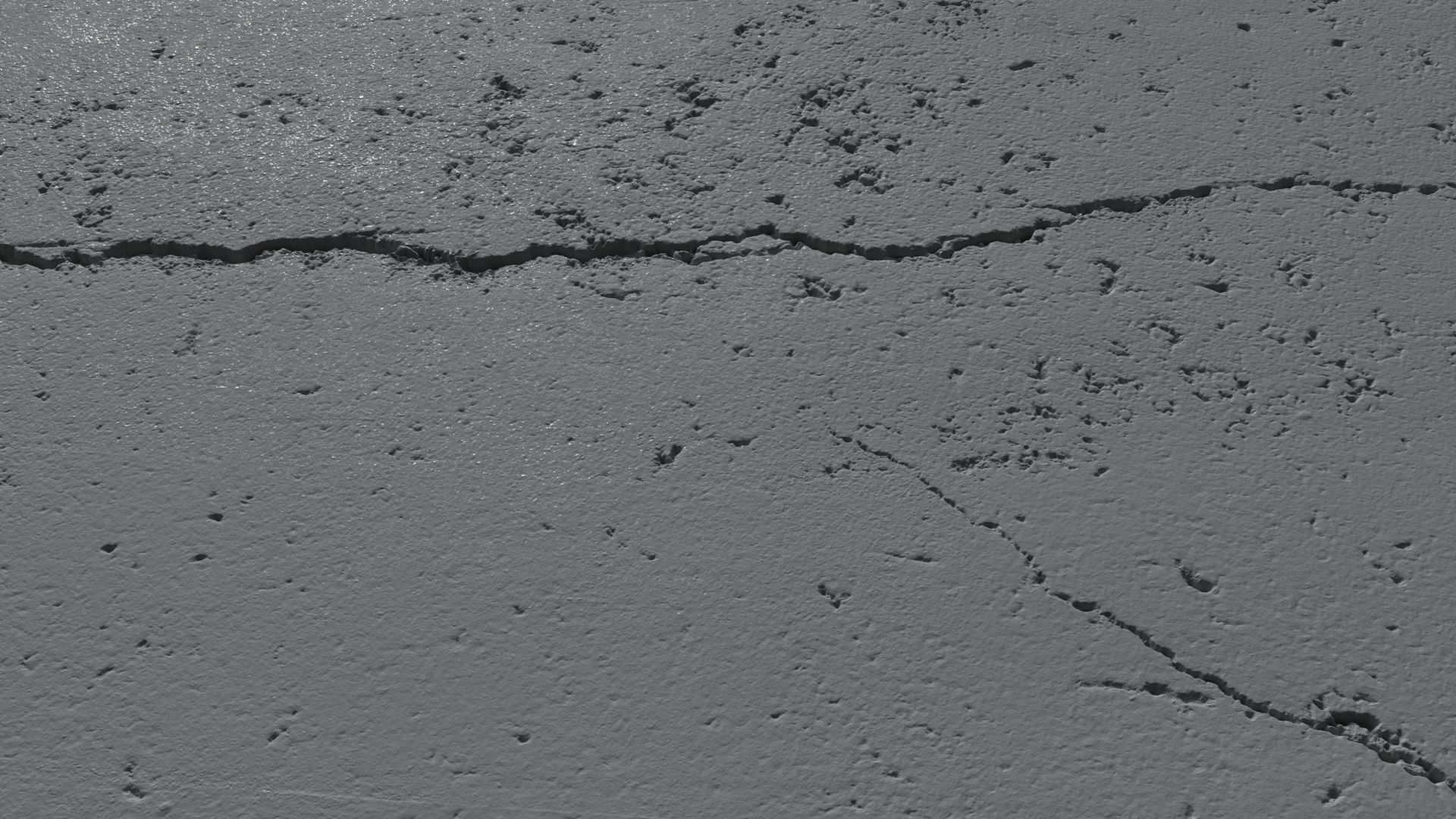 Cracked asphalt scan 46 tile Low-poly 3D model_8