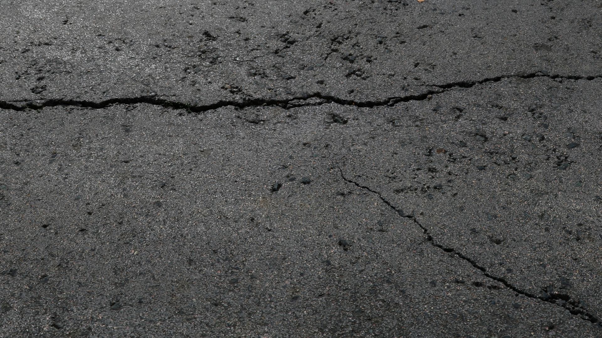 Cracked asphalt scan 46 tile Low-poly 3D model_2