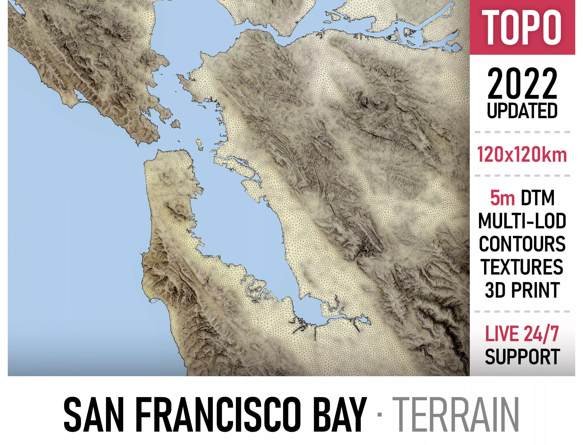 San Francisco Bay Terrain Low-poly 3D model_0