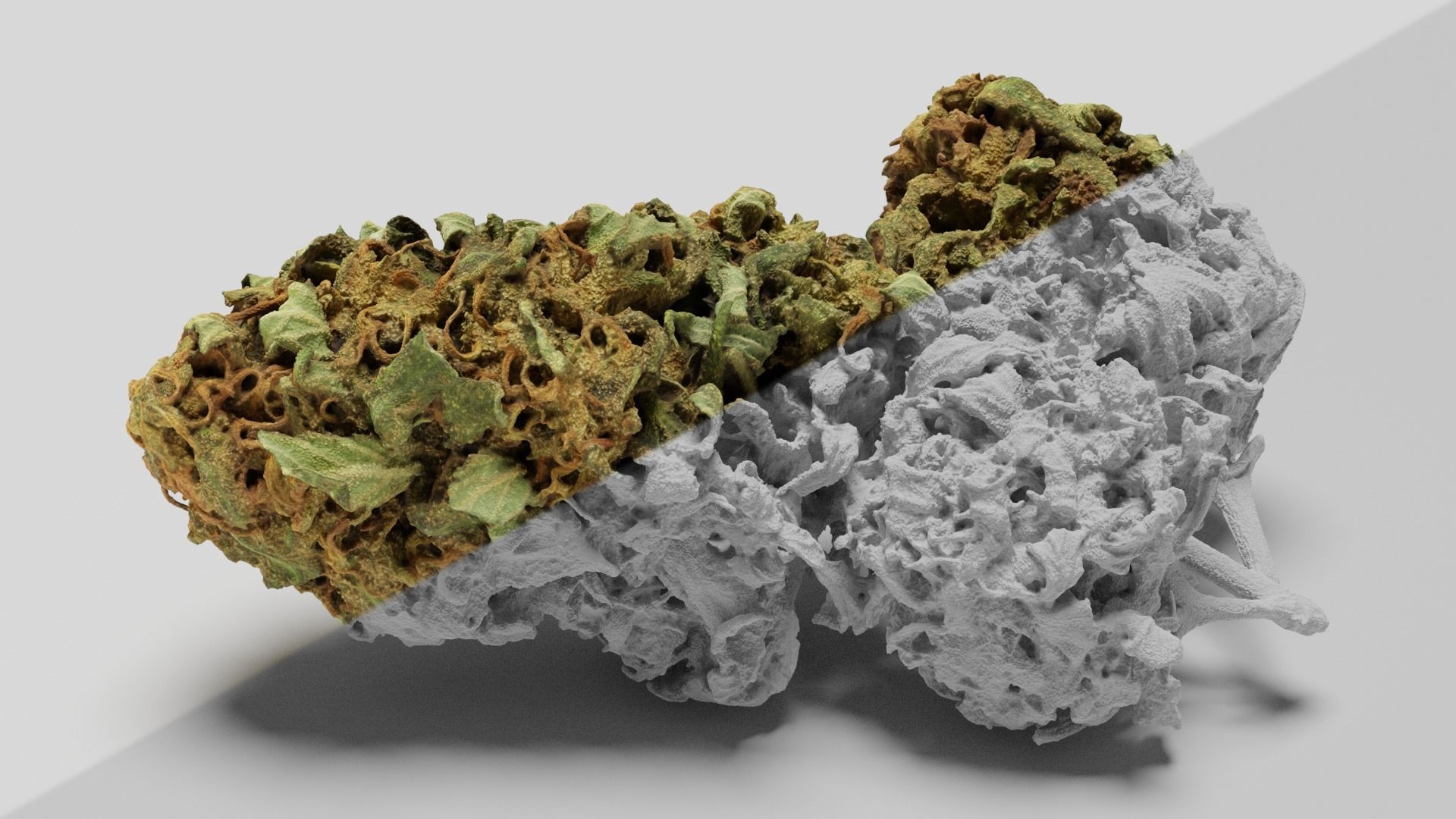 Cannabis Bud 05 3D model_4