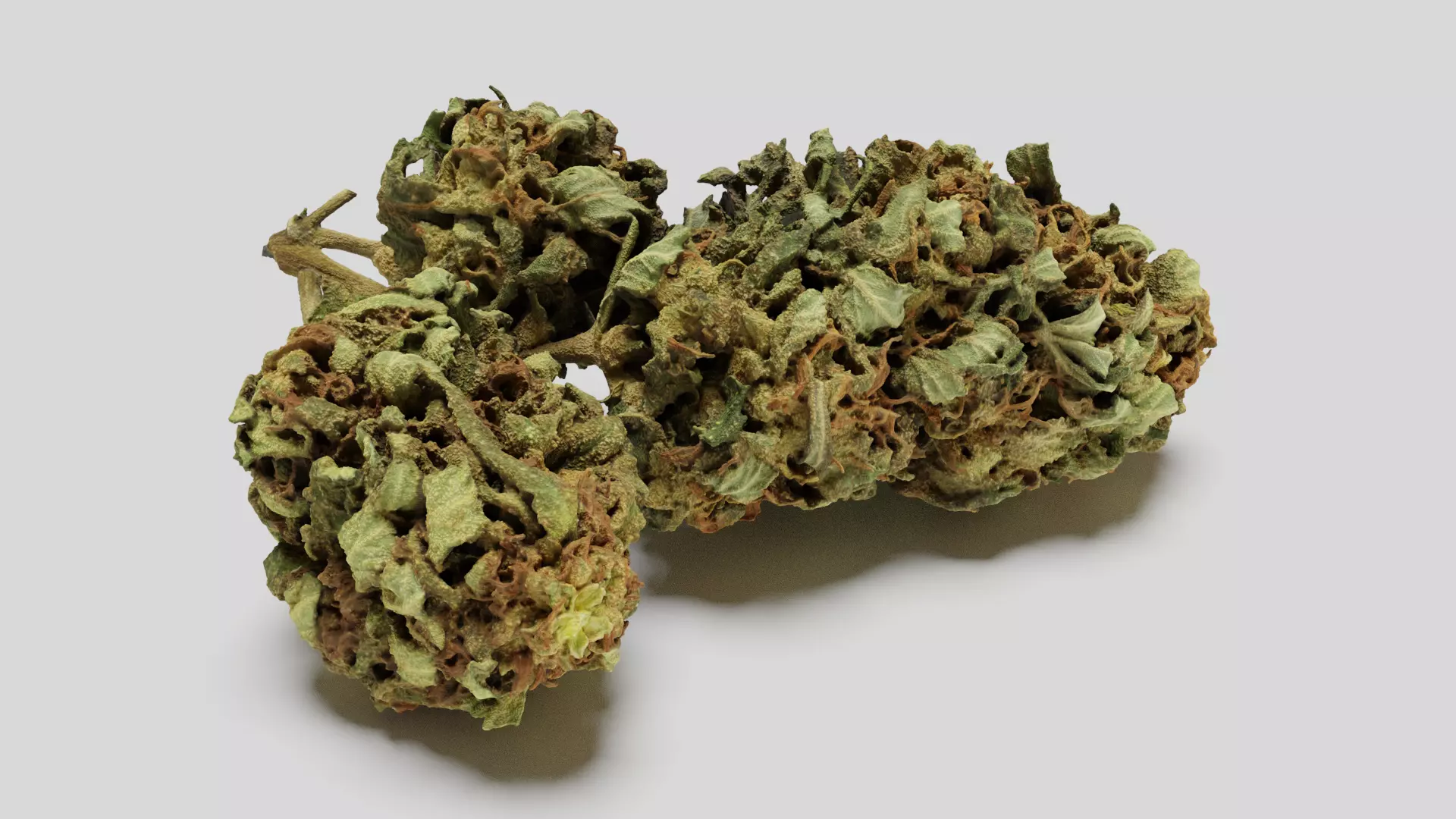 Cannabis Bud 05 3D model_0