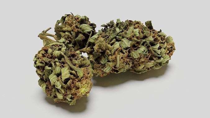 Cannabis Bud 05 3D model