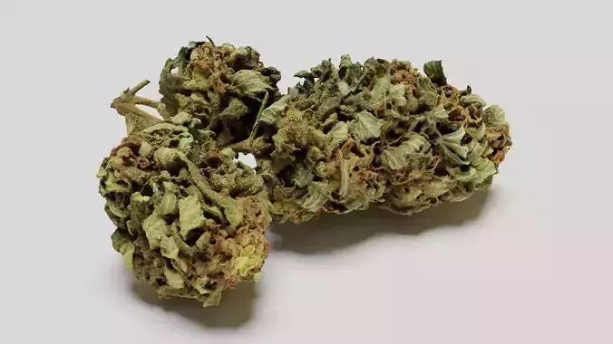 Cannabis Bud 05 3D model