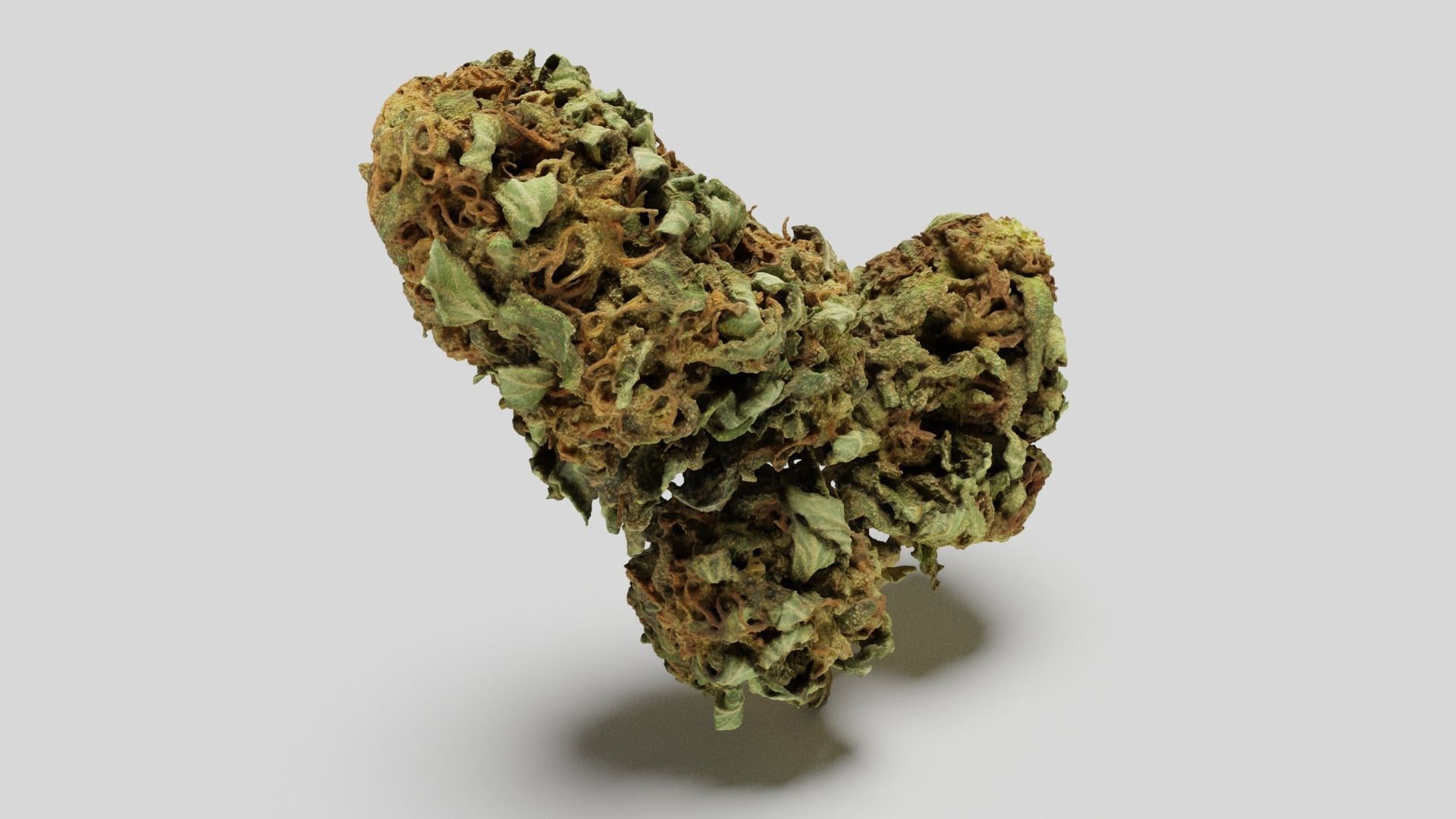Cannabis Bud 05 3D model_3
