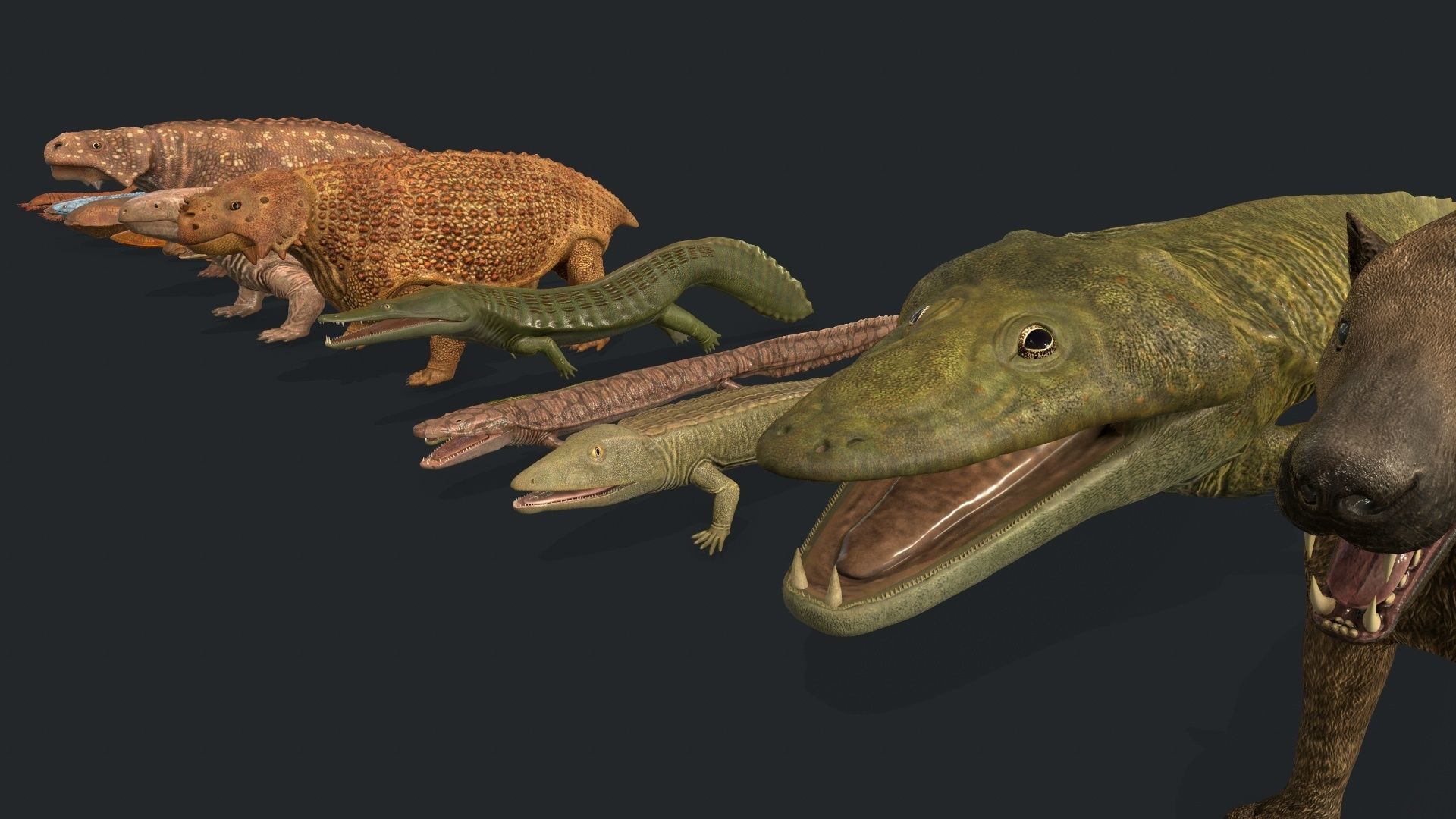 Extinct animals pack v2 Low-poly 3D model_12
