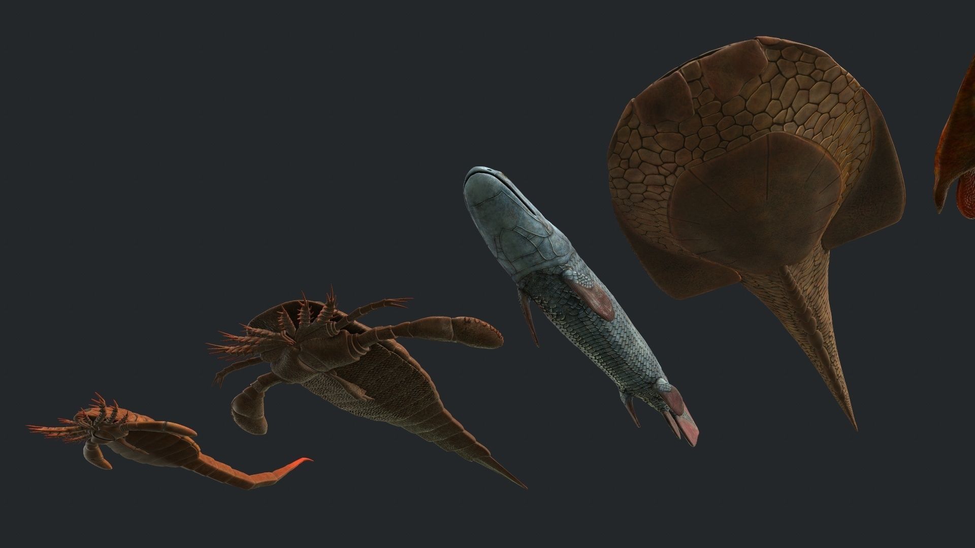 Extinct animals pack v2 Low-poly 3D model_7