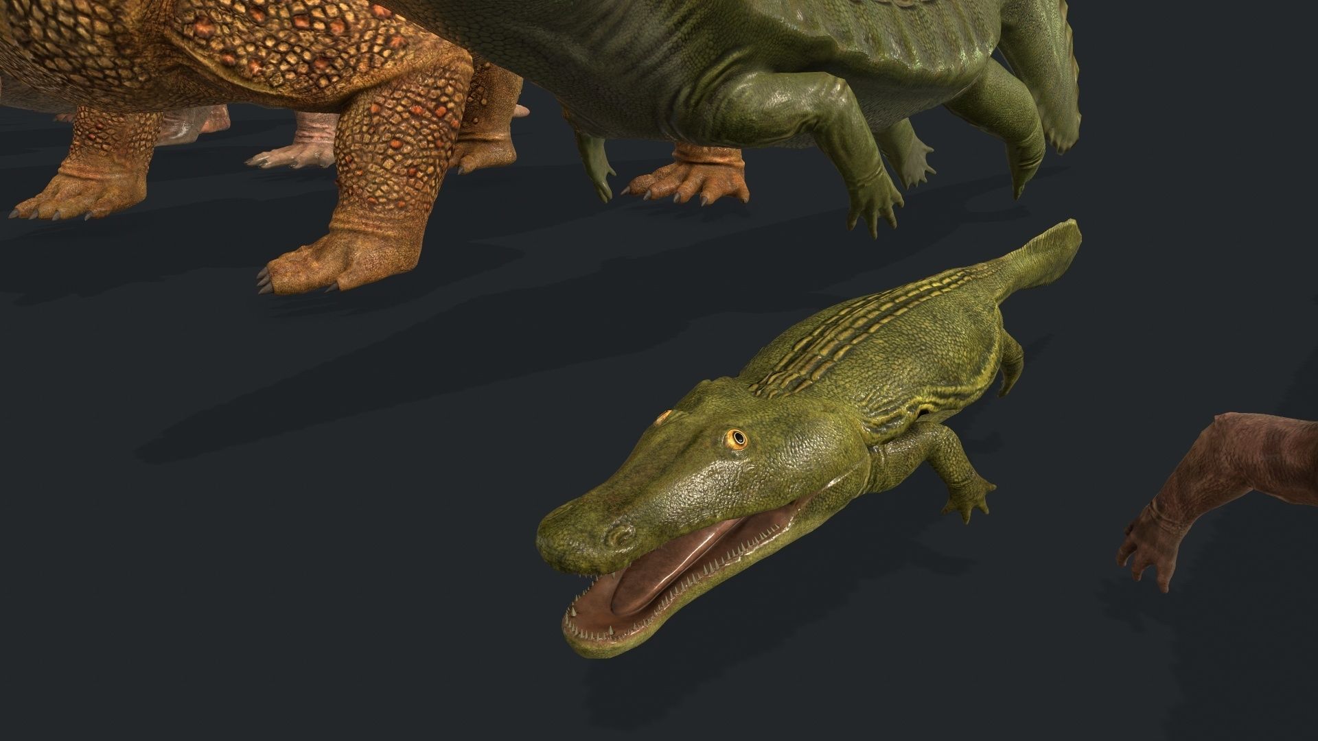 Extinct animals pack v2 Low-poly 3D model_23