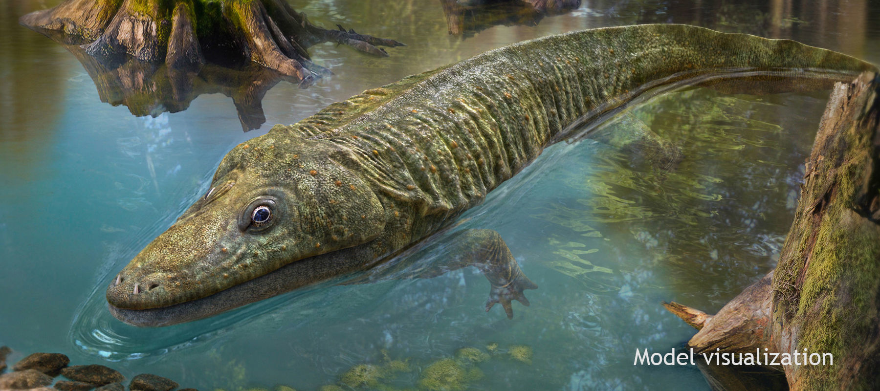 Extinct animals pack v2 Low-poly 3D model_13