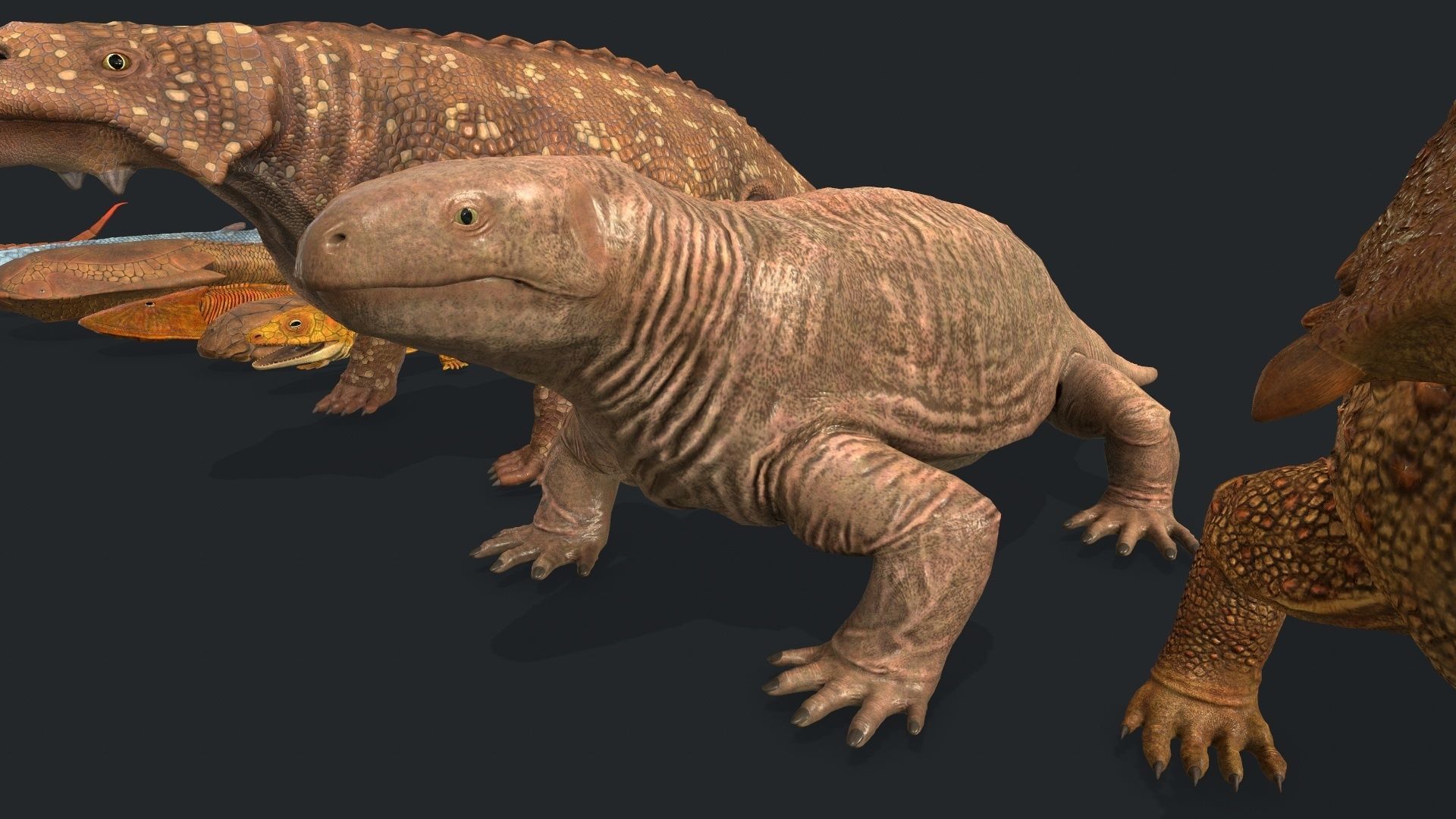 Extinct animals pack v2 Low-poly 3D model_26