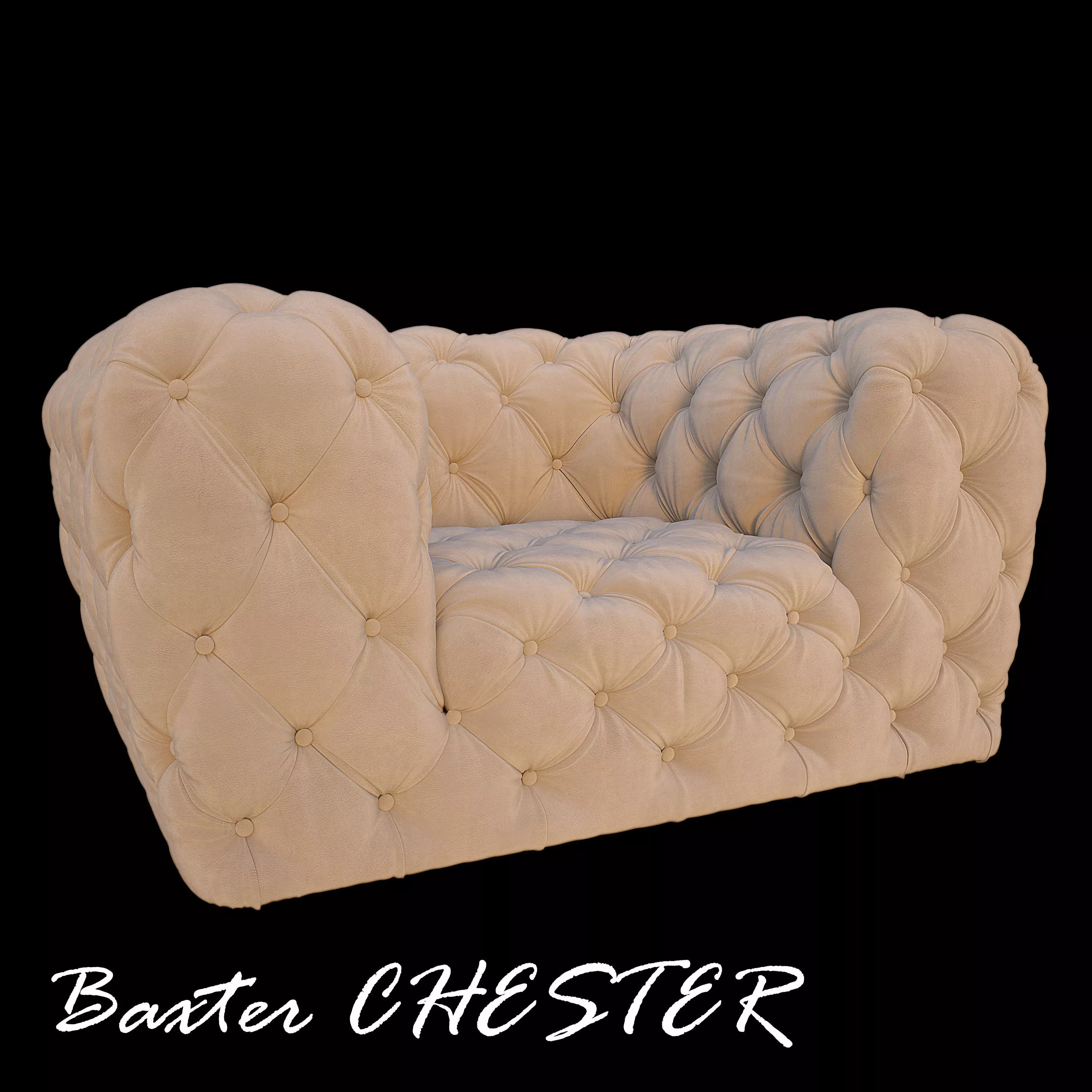 Baxter CHESTER 3D model Low-poly 3D model_0