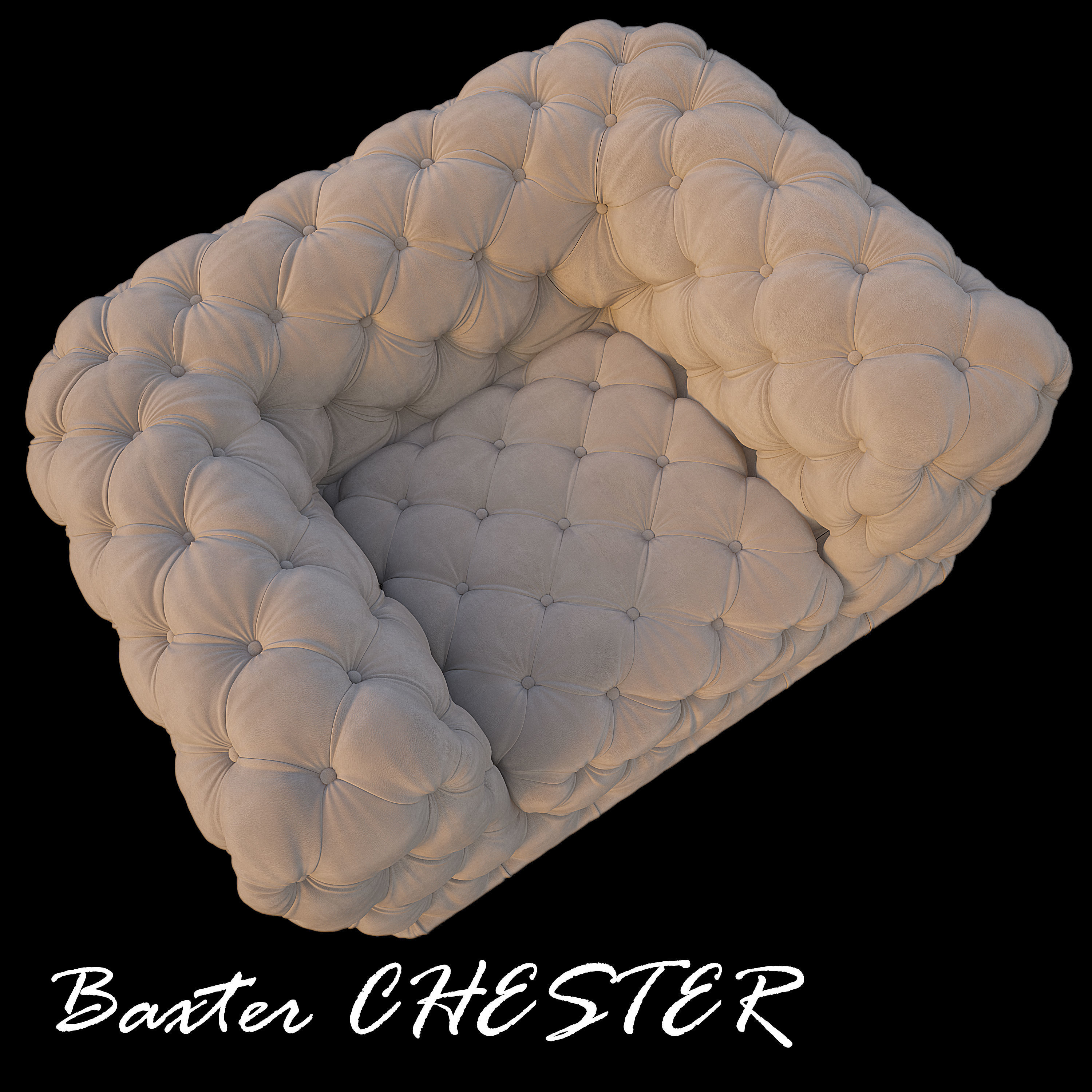 Baxter CHESTER 3D model Low-poly 3D model_5