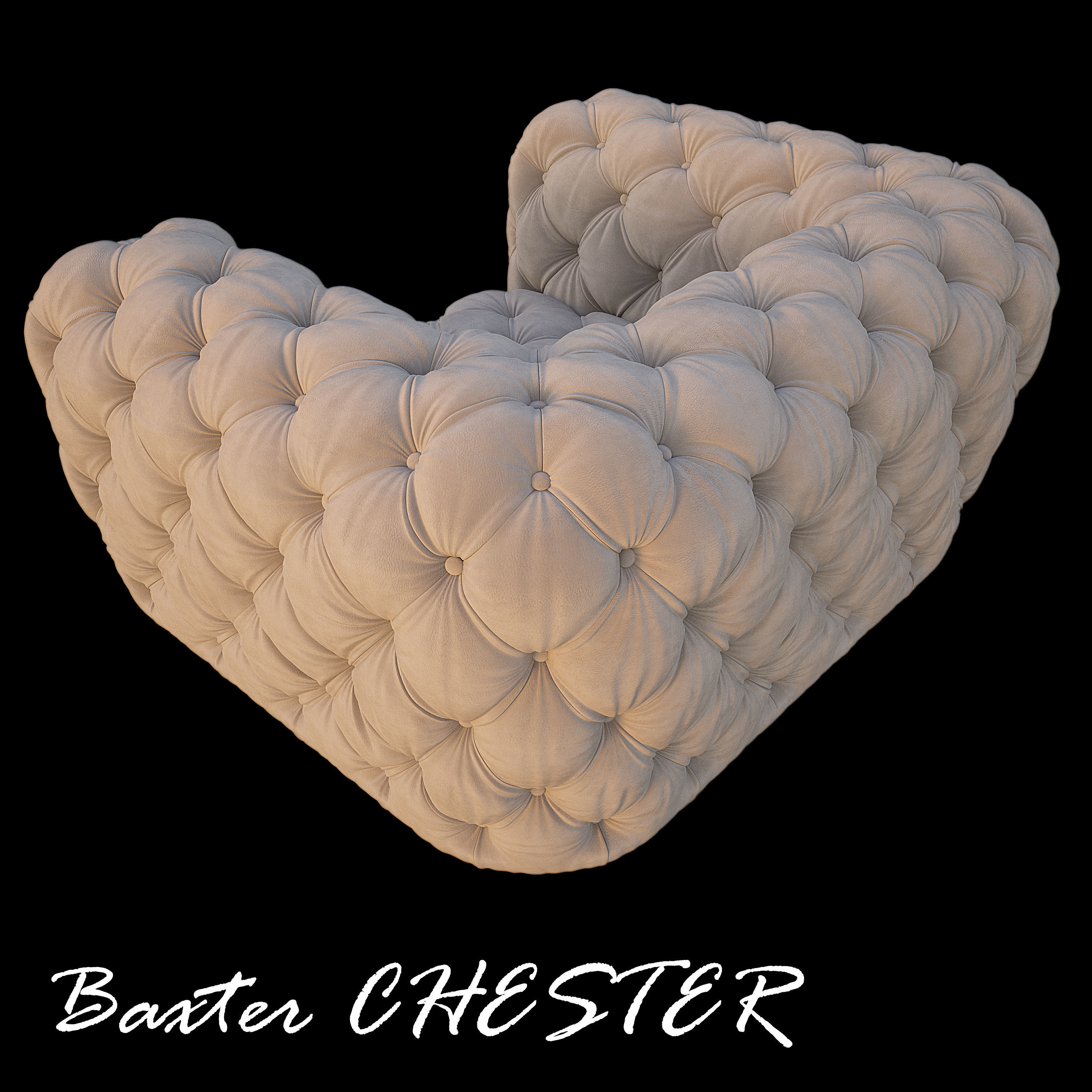 Baxter CHESTER 3D model Low-poly 3D model_2