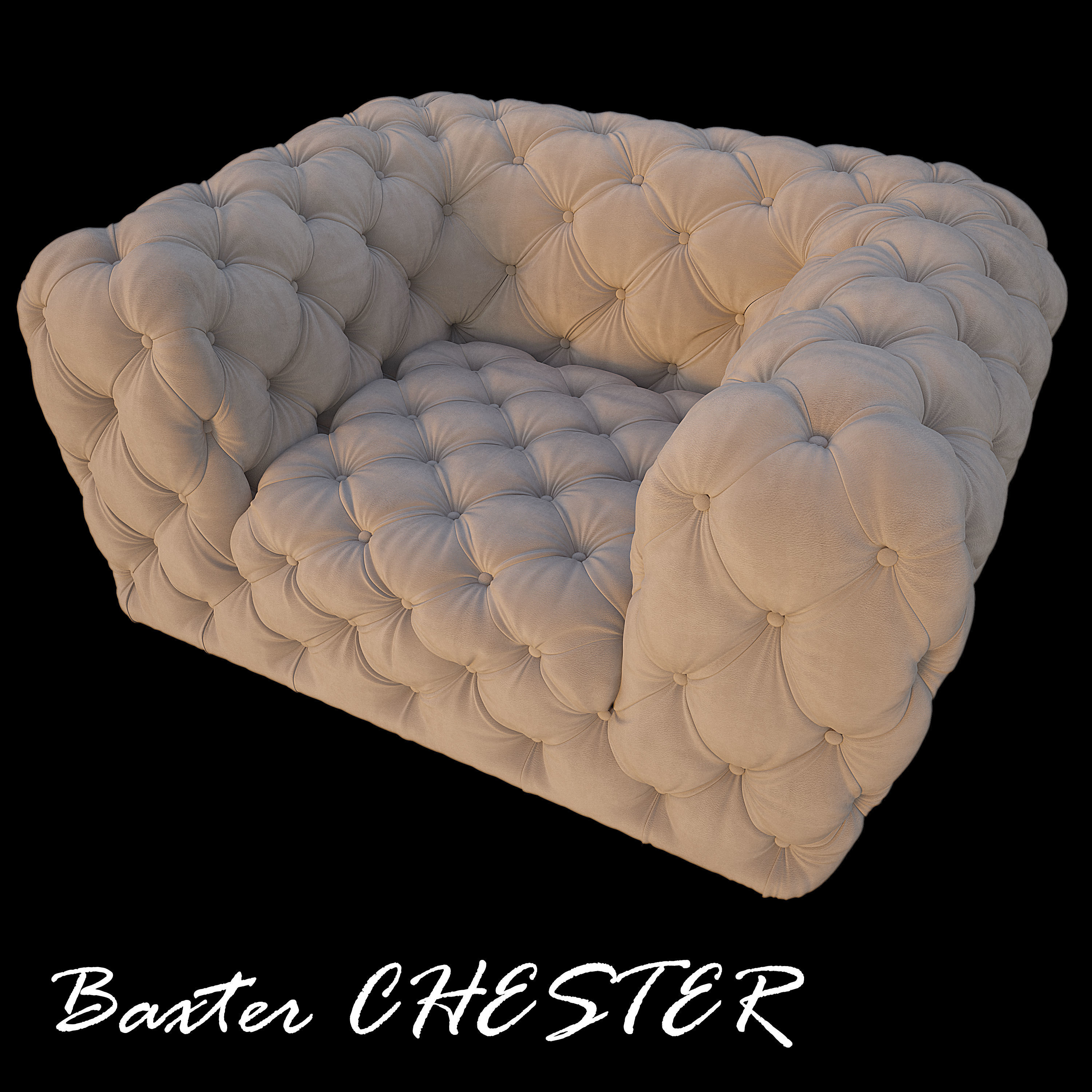 Baxter CHESTER 3D model Low-poly 3D model_1
