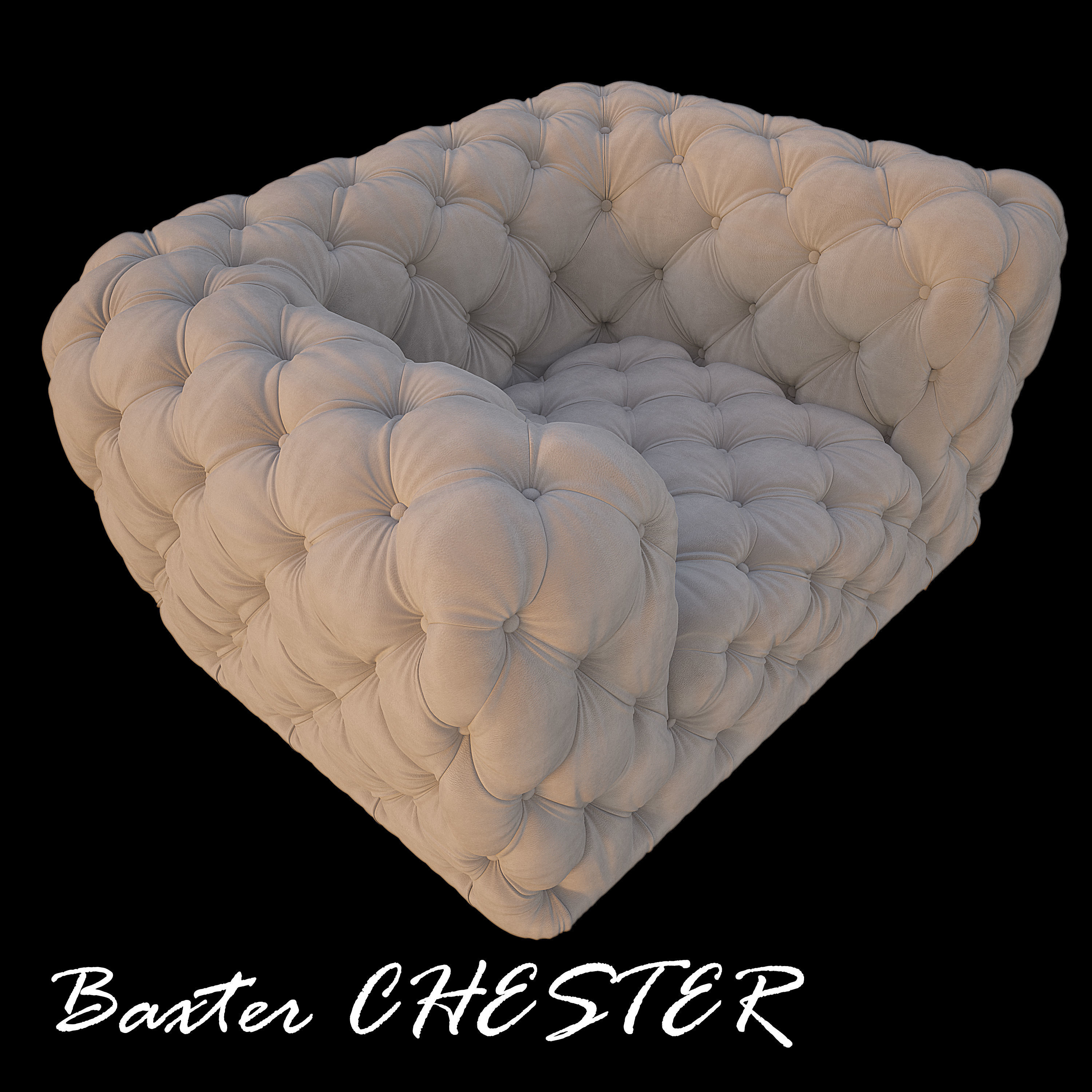 Baxter CHESTER 3D model Low-poly 3D model_4